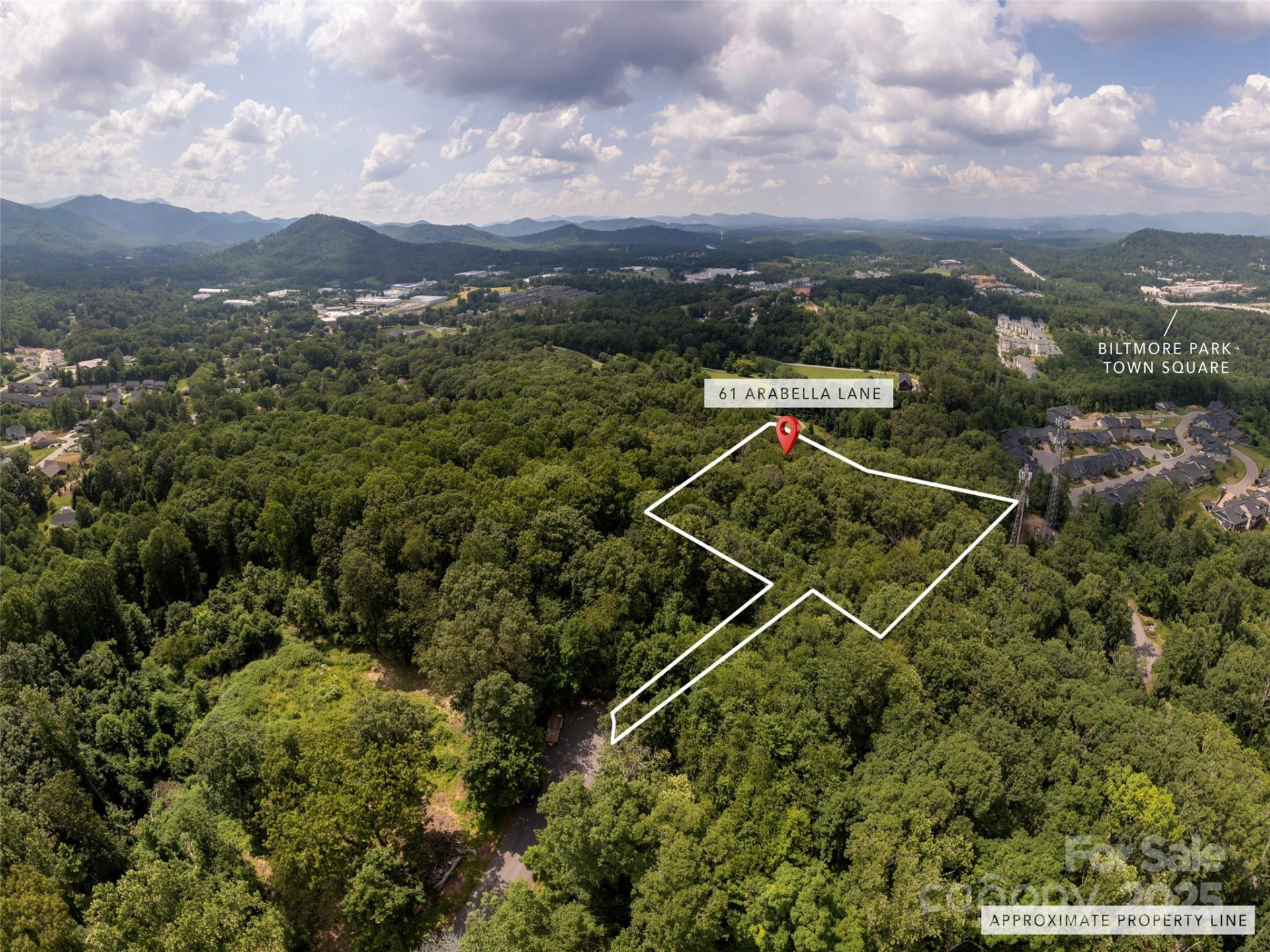 61 Arabella Lane - Photo 3