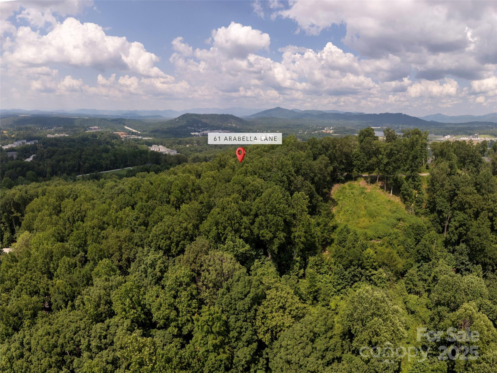 61 Arabella Lane - Photo 5