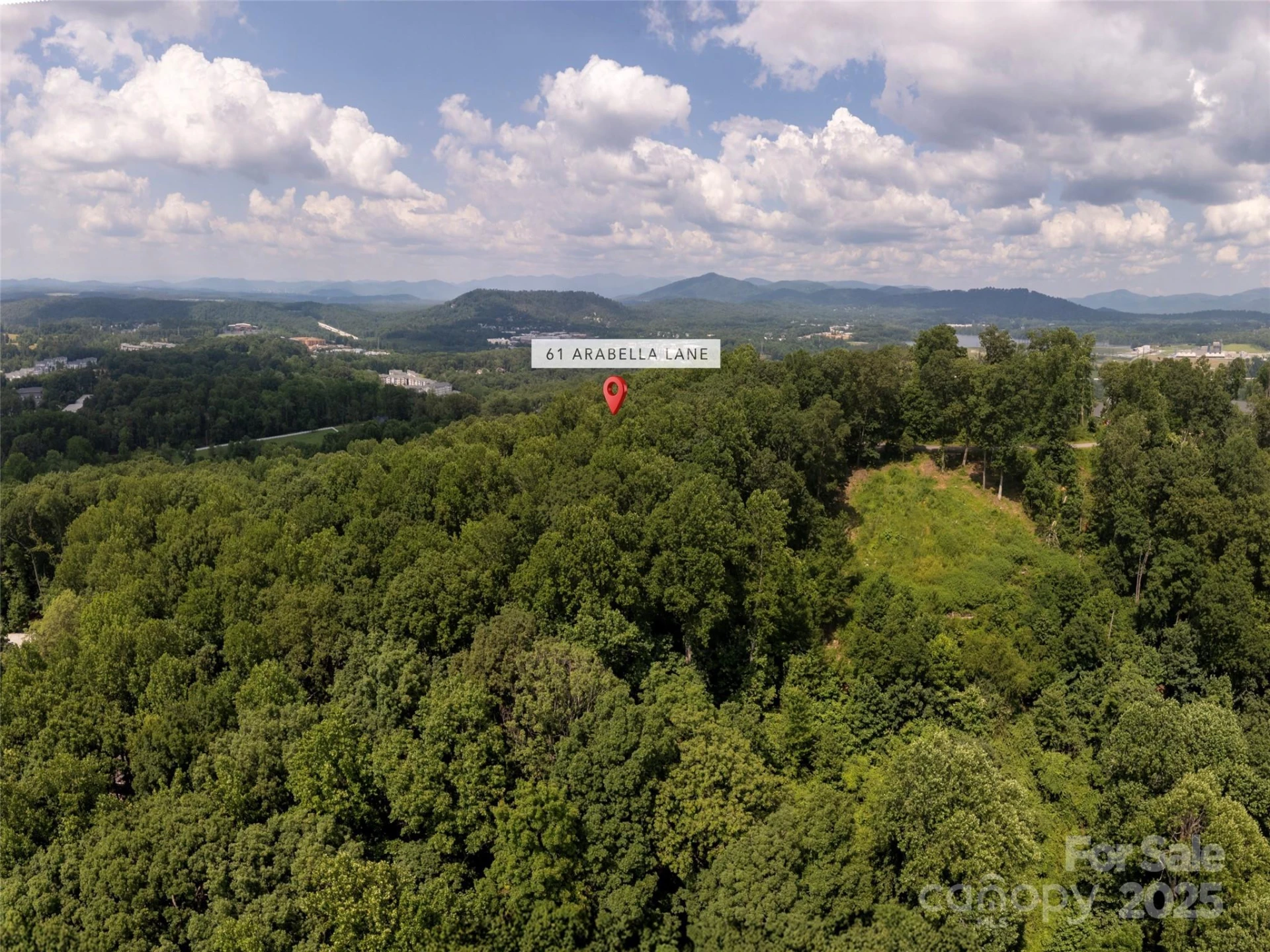61 Arabella Lane - Photo 5