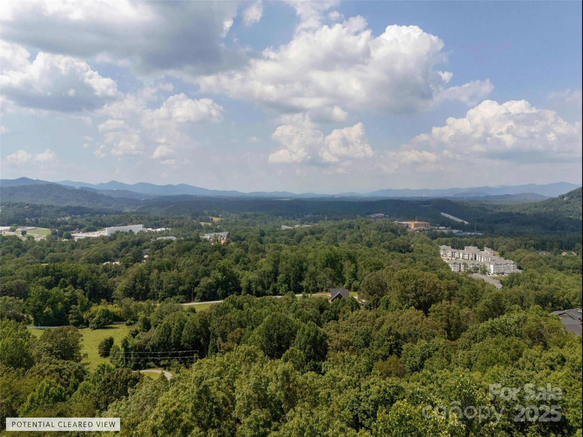 61 Arabella Lane - Photo 6