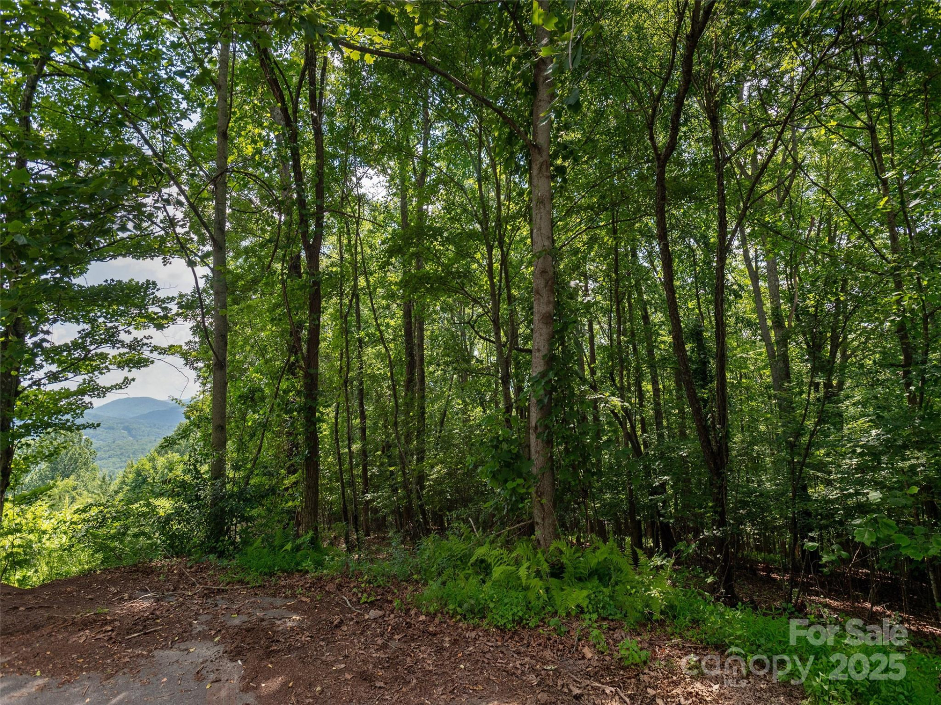 64 Arabella Lane - Photo 11