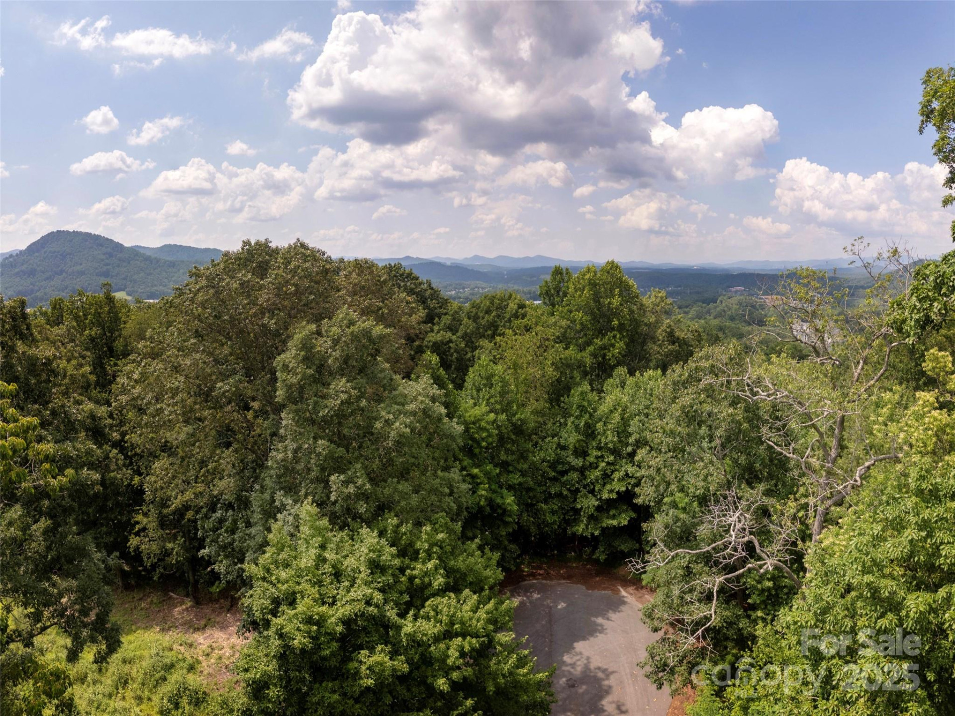 64 Arabella Lane - Photo 5