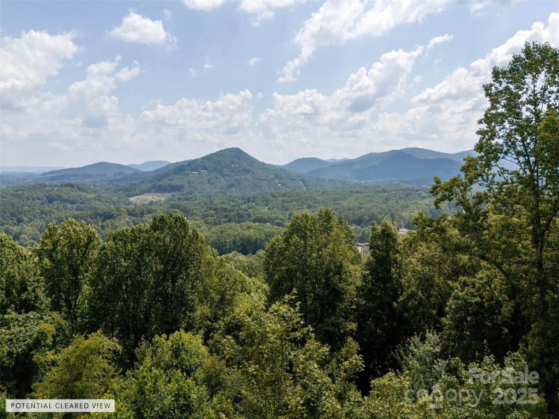 64 Arabella Lane - Photo 6