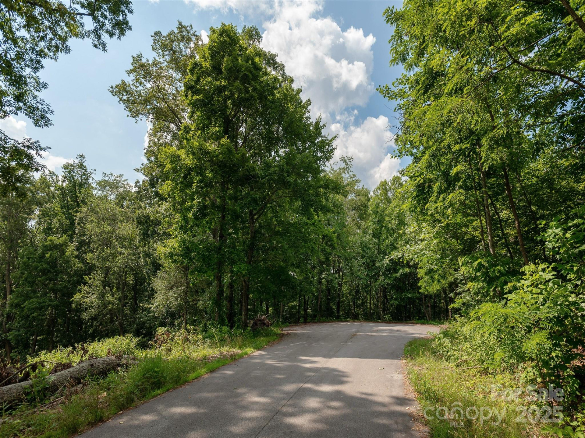64 Arabella Lane - Photo 7