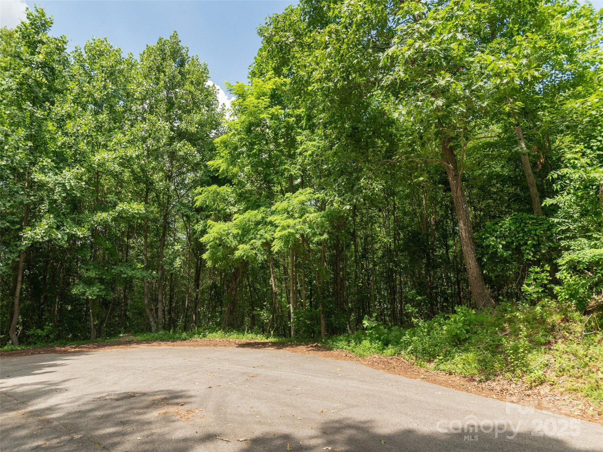 64 Arabella Lane - Photo 8