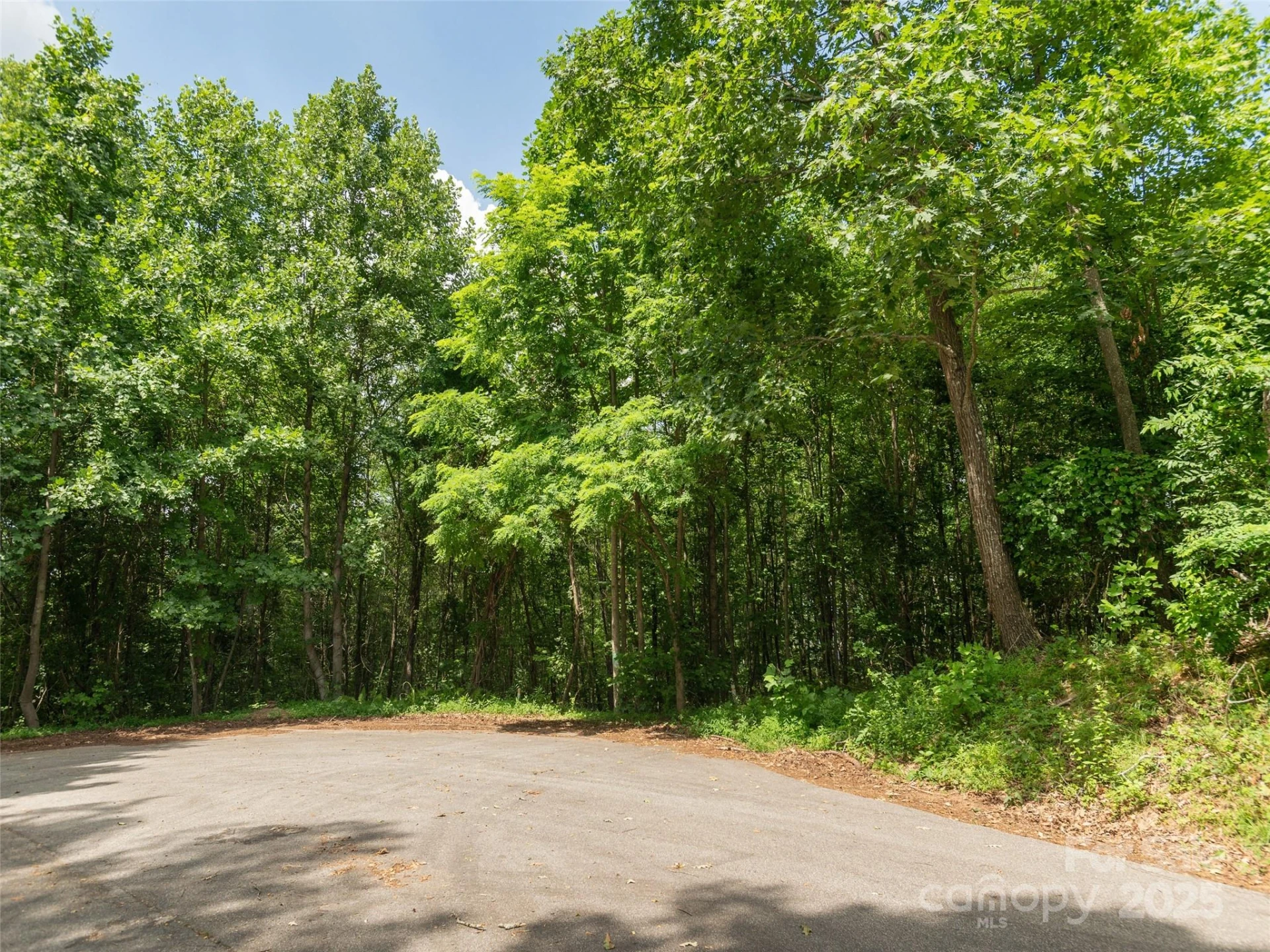 64 Arabella Lane - Photo 8