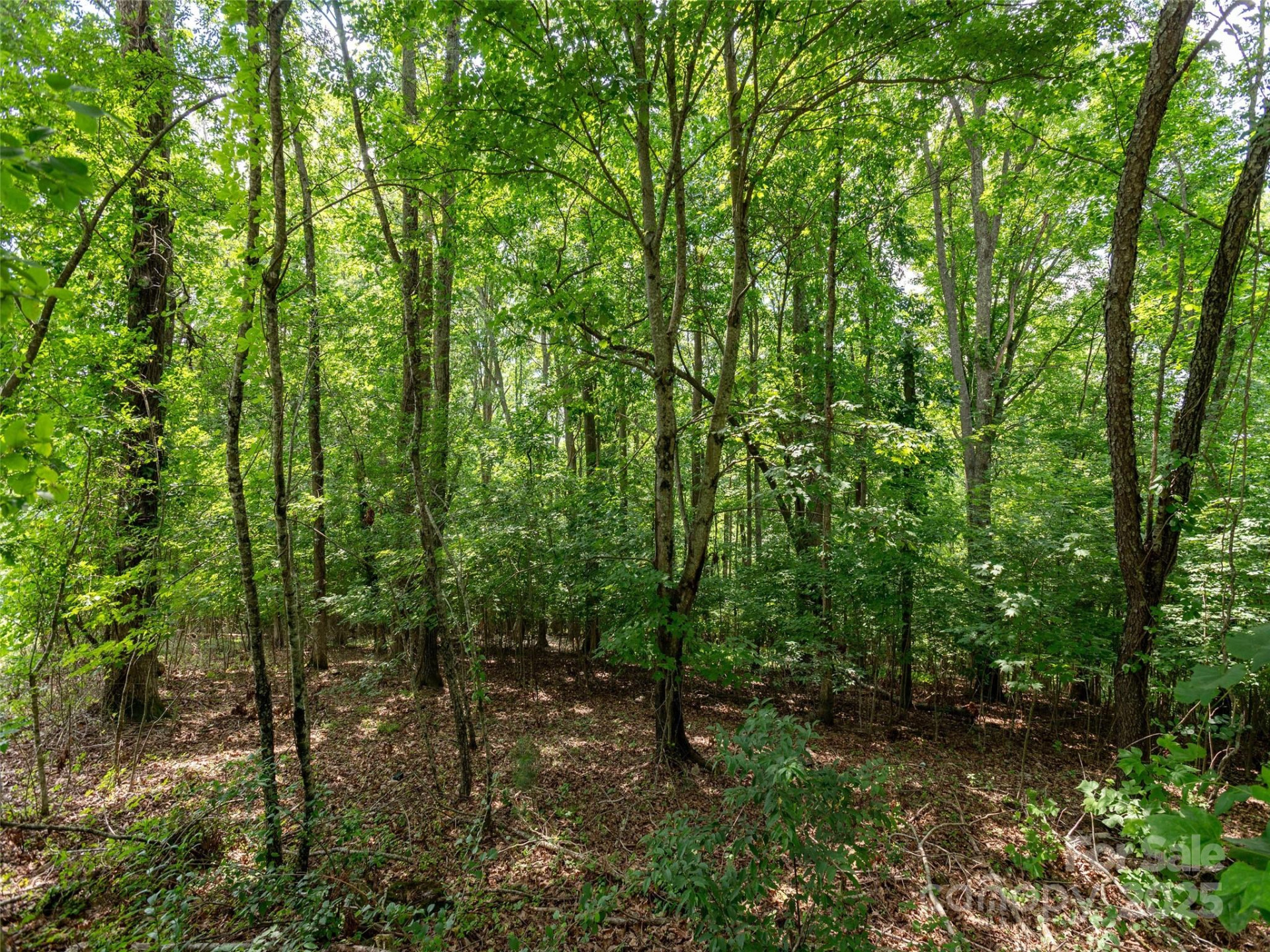 64 Arabella Lane - Photo 9