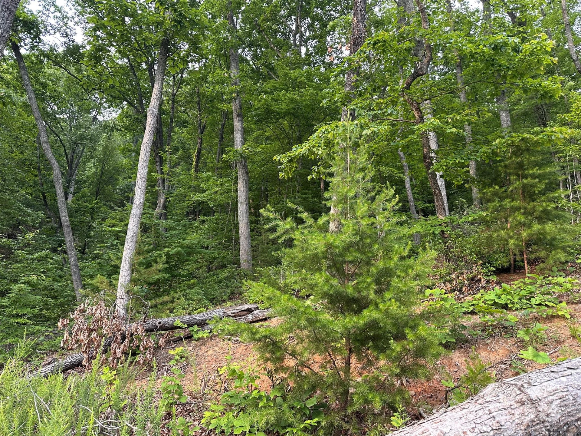 0 Golden Ridge Drive - Photo 2