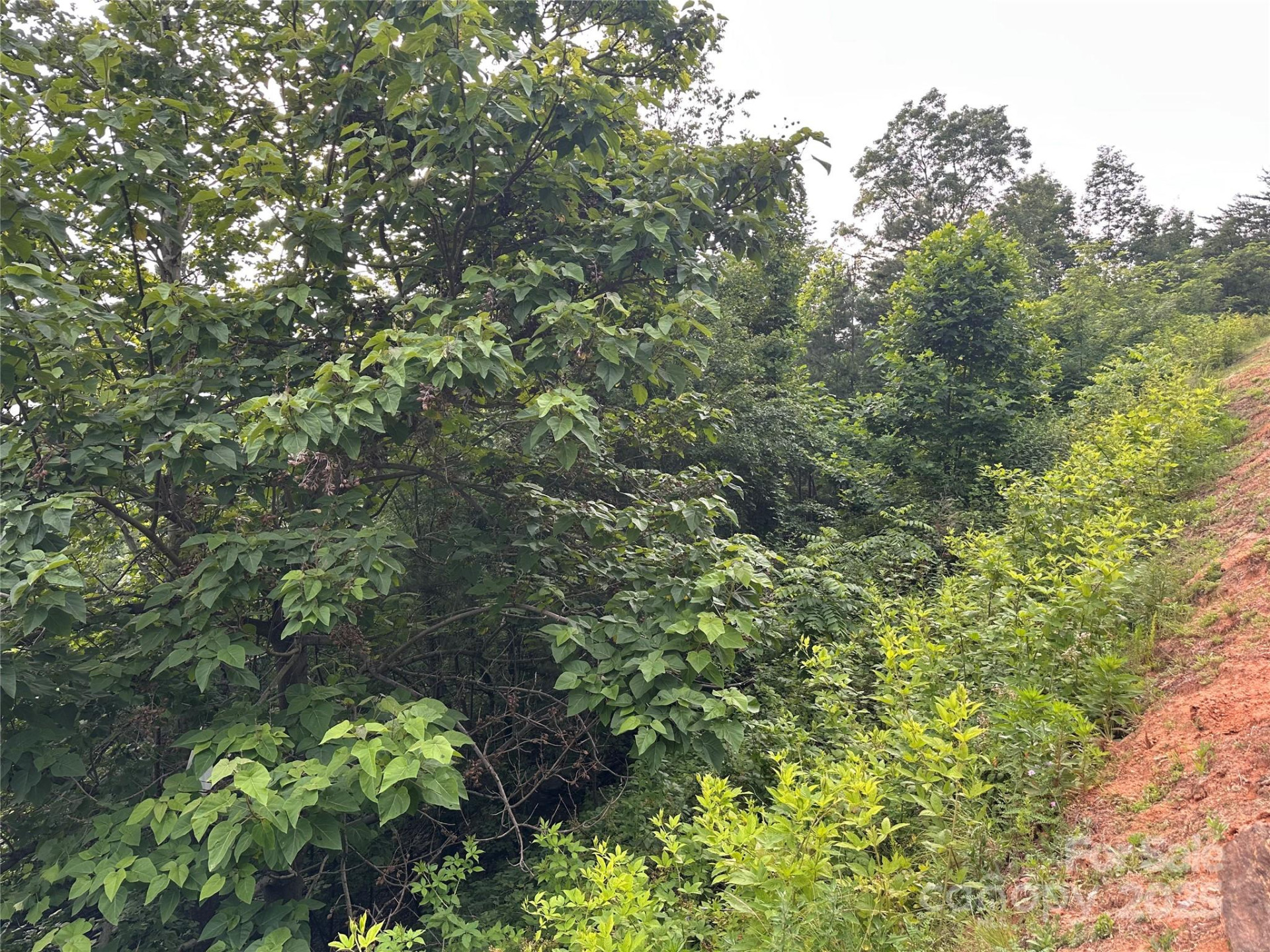 0 Golden Ridge Drive - Photo 4