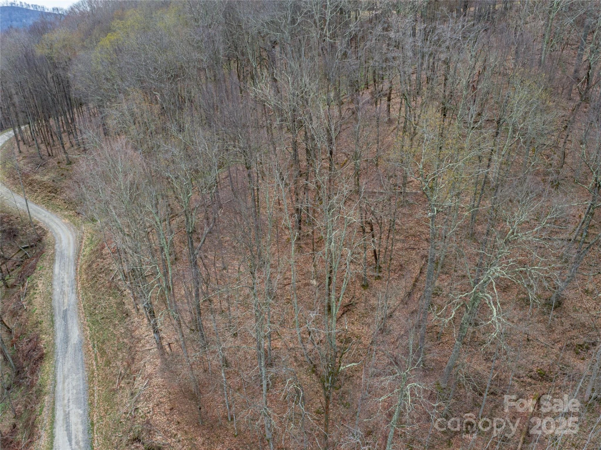 Lot 150 PUNCHEON Lane - Photo 2