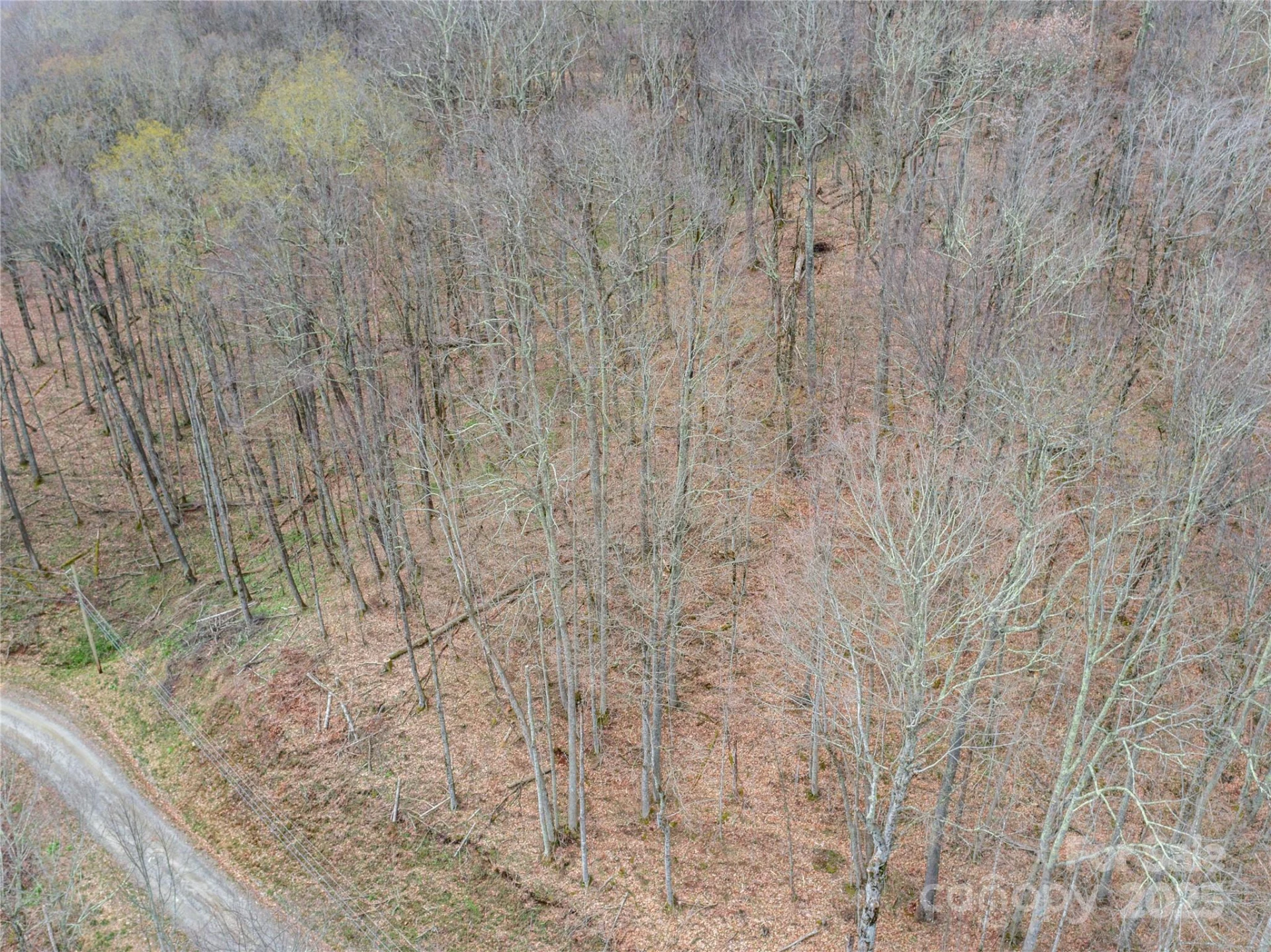 Lot 150 PUNCHEON Lane - Photo 3