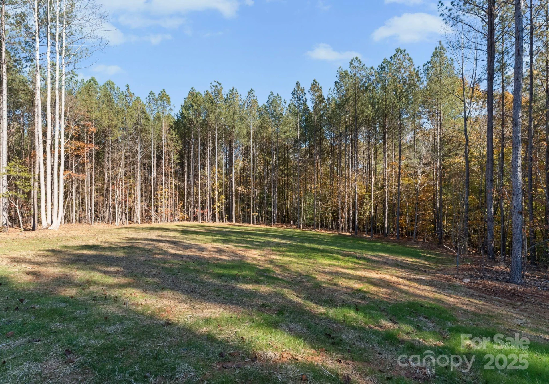 2572 Norton Avenue - Photo 38