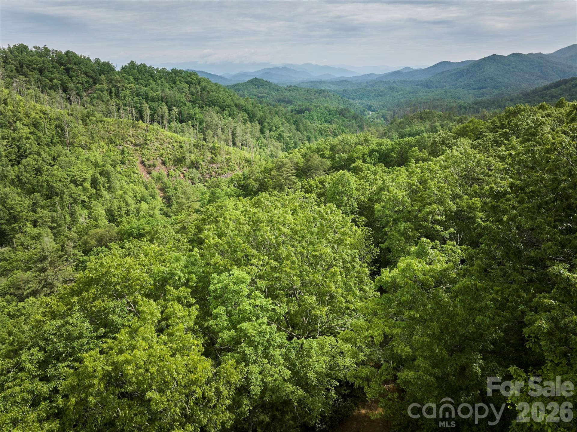 0 Holly House Road - Photo 26