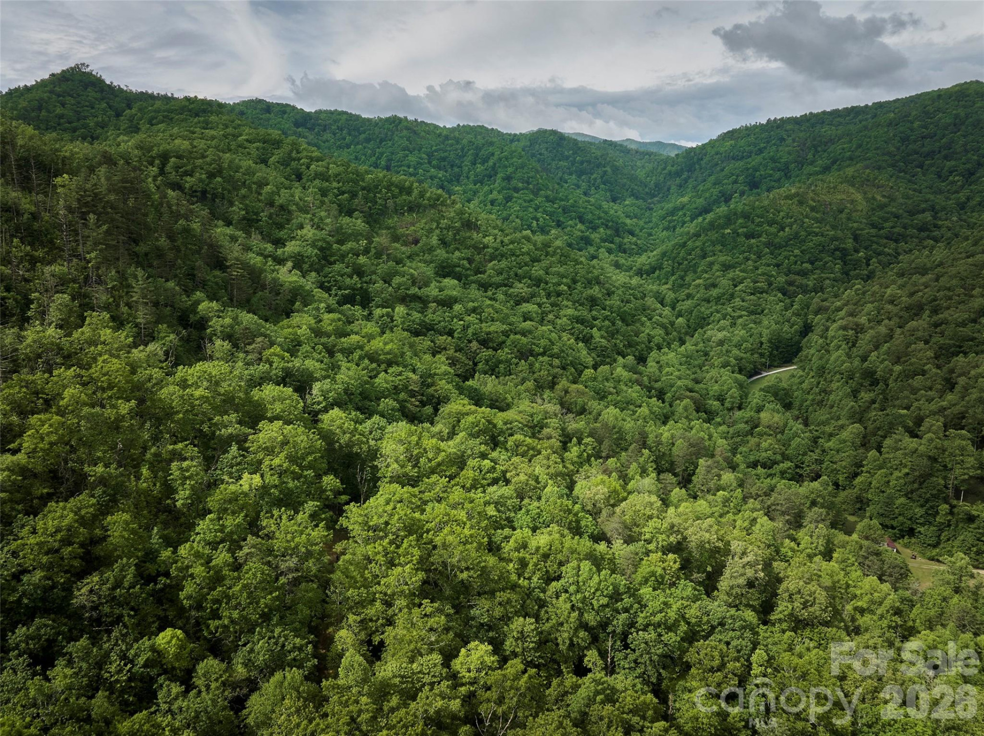 0 Holly House Road - Photo 27