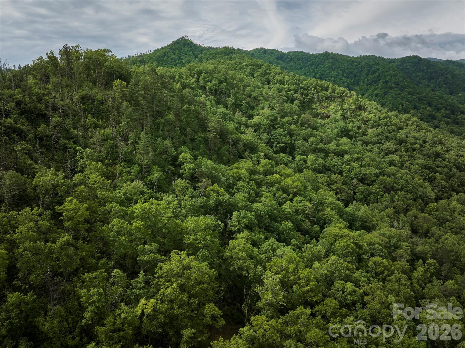 0 Holly House Road - Photo 28