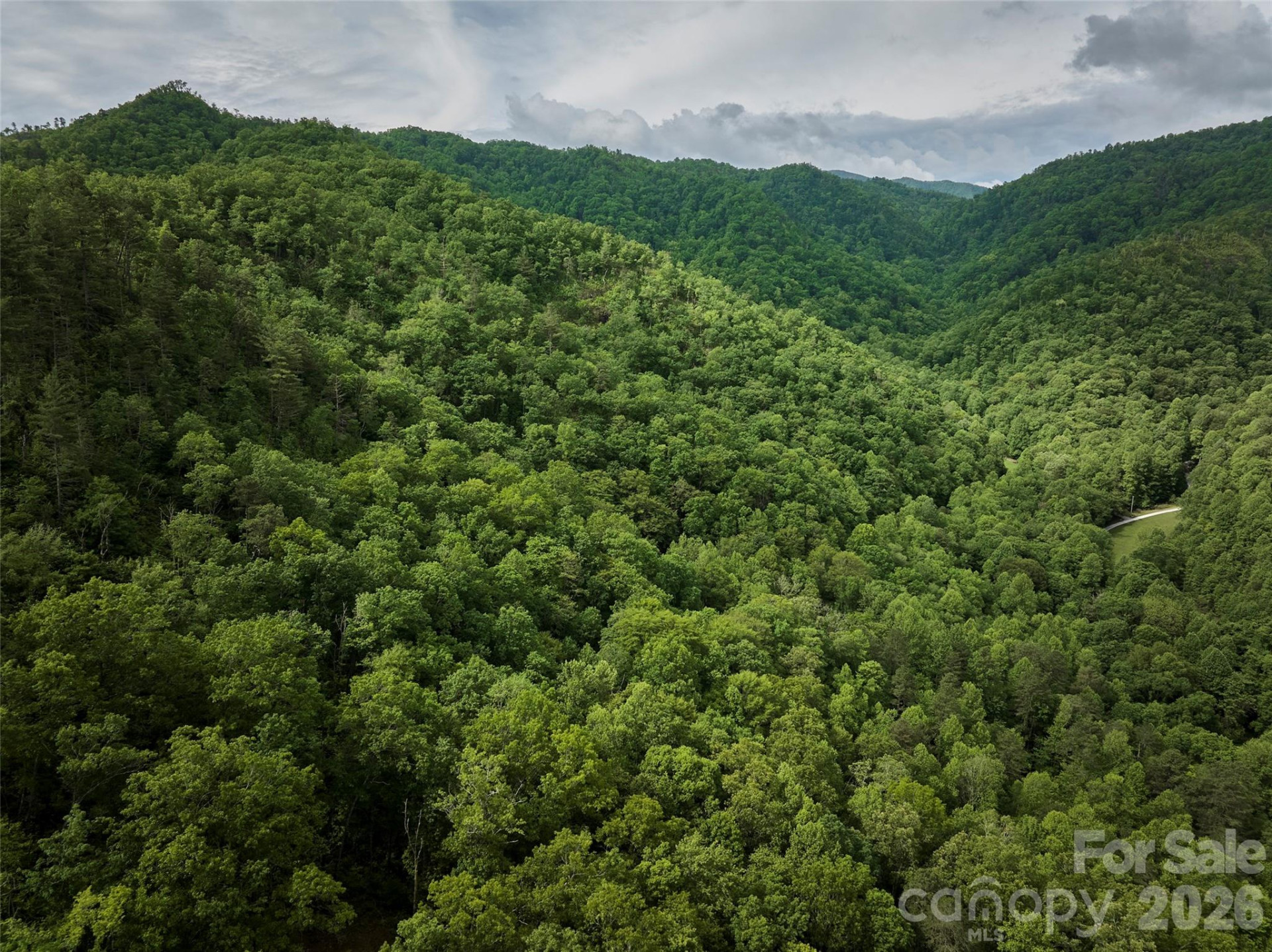 0 Holly House Road - Photo 29