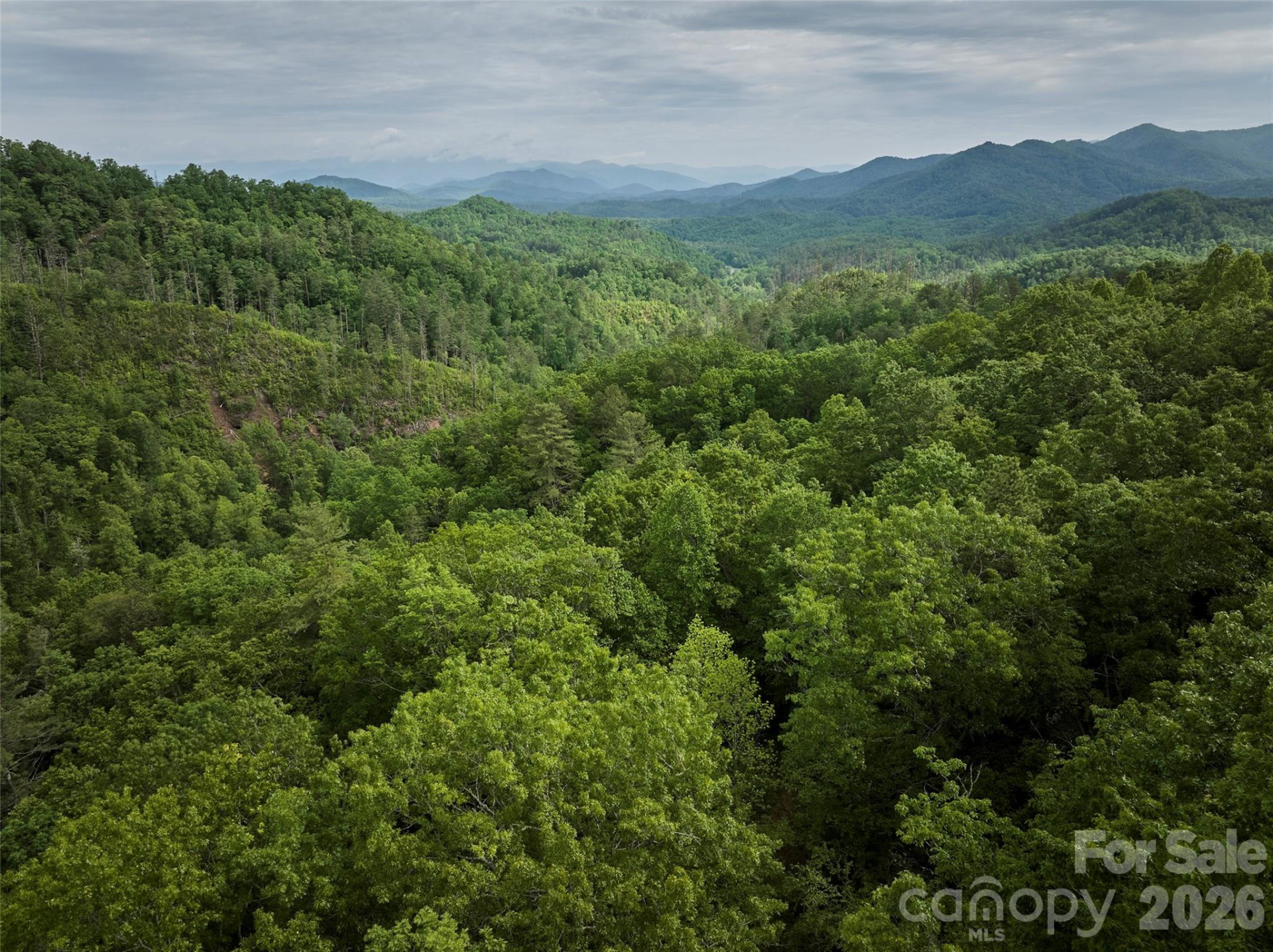 0 Holly House Road - Photo 30