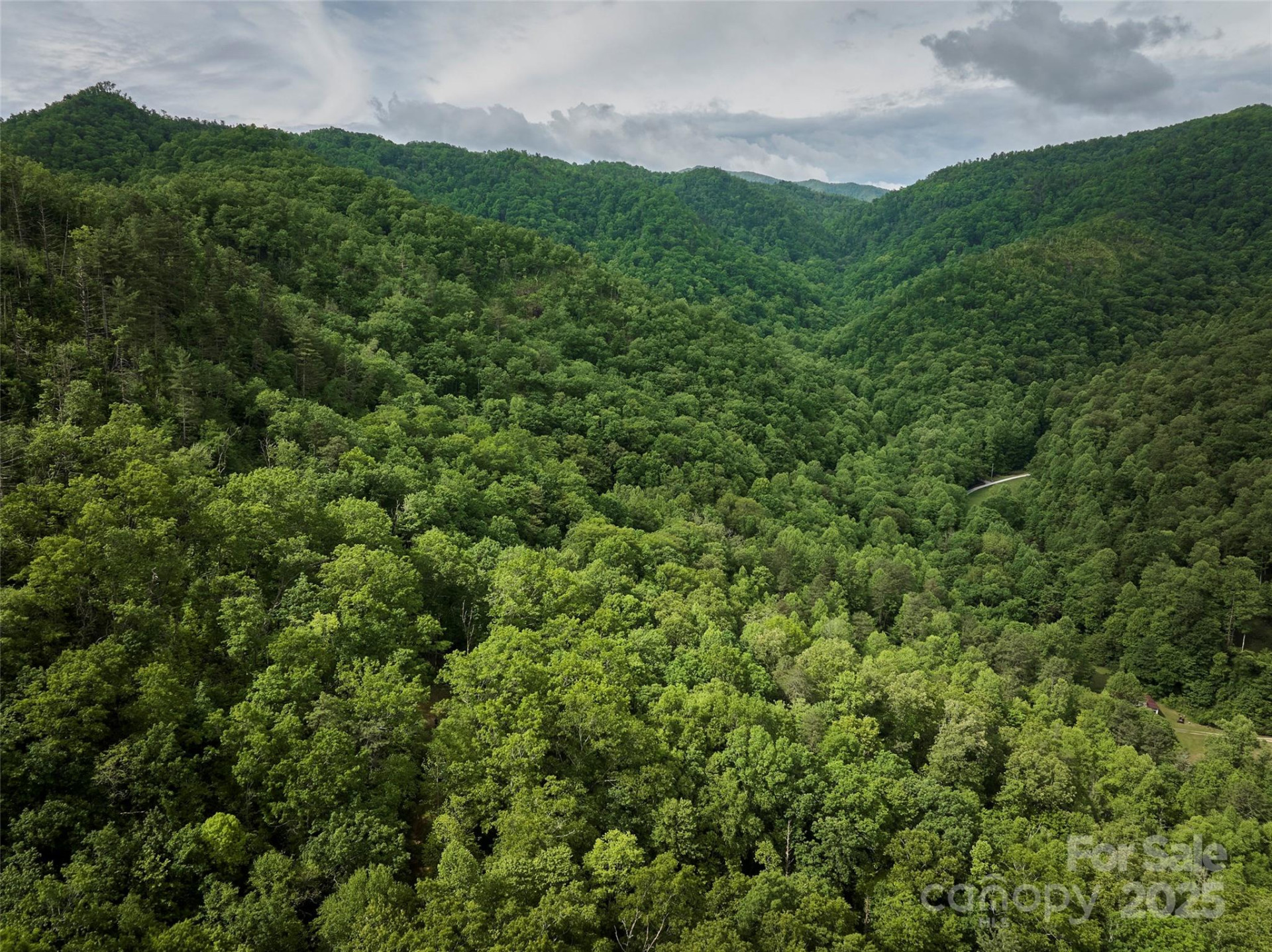 0 Holly House Road - Photo 7