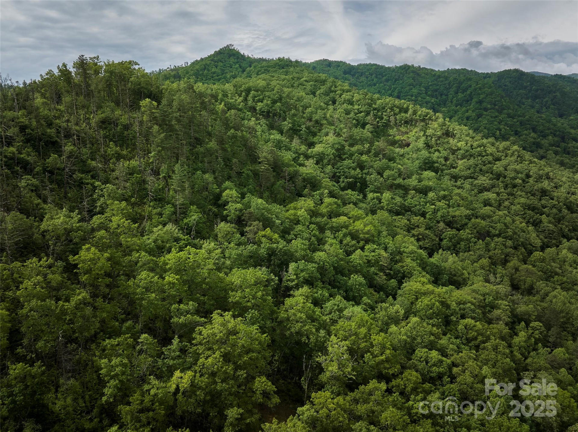 0 Holly House Road - Photo 8