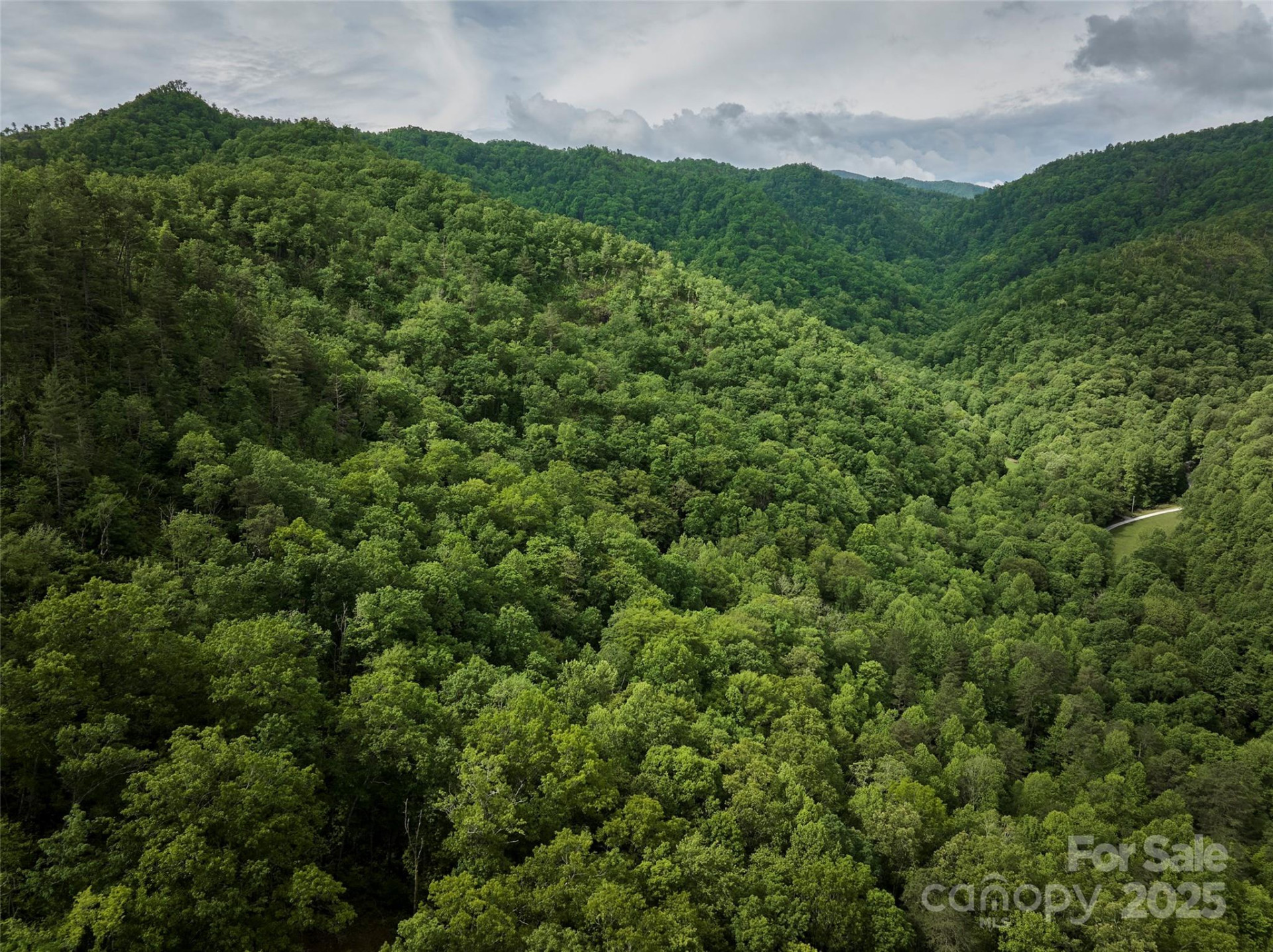 0 Holly House Road - Photo 9