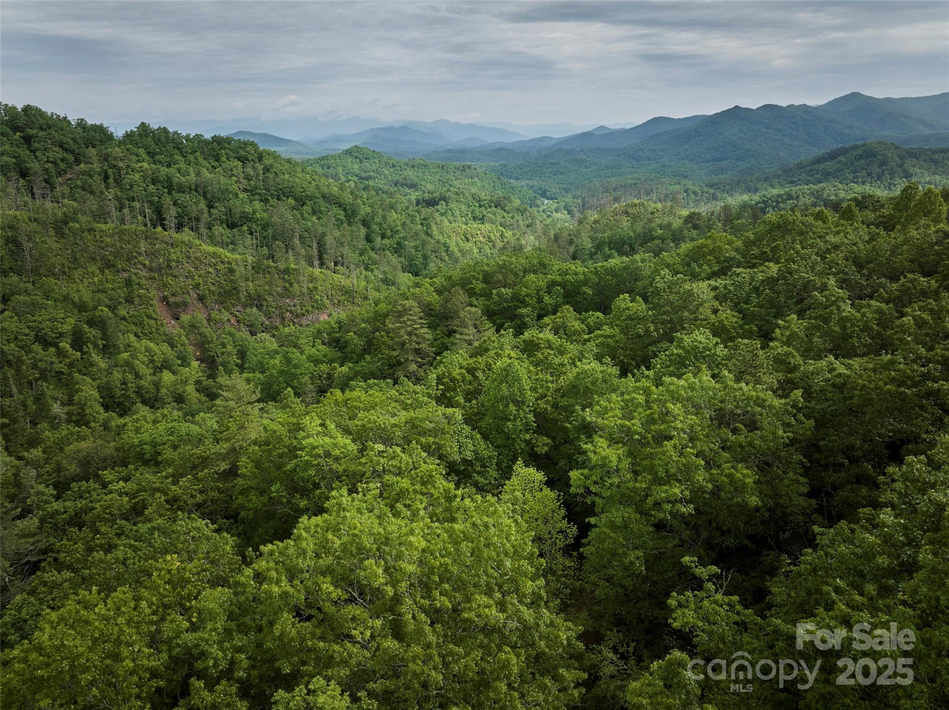 0 Holly House Road - Photo 10