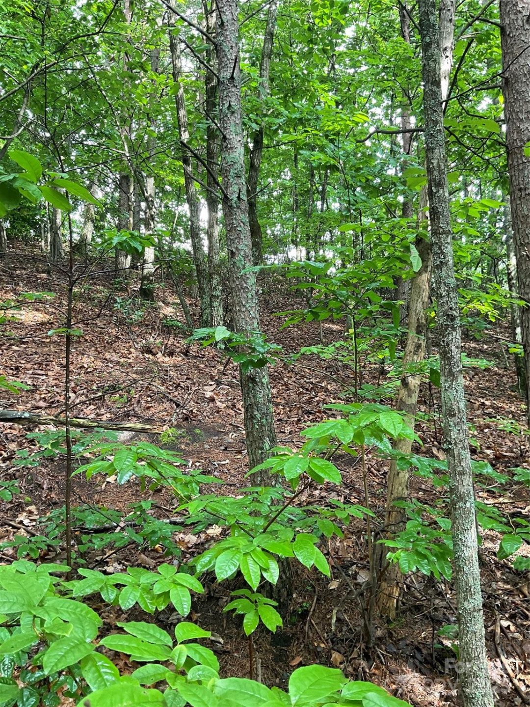 0 Valley View Court - Photo 13