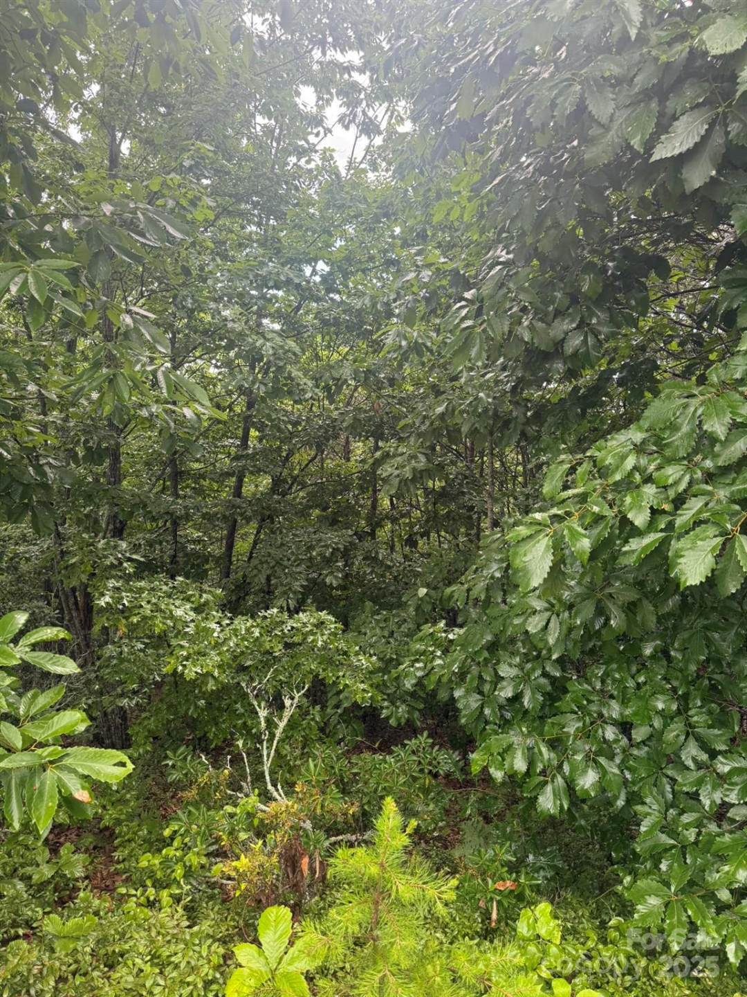 0 Valley View Court - Photo 17