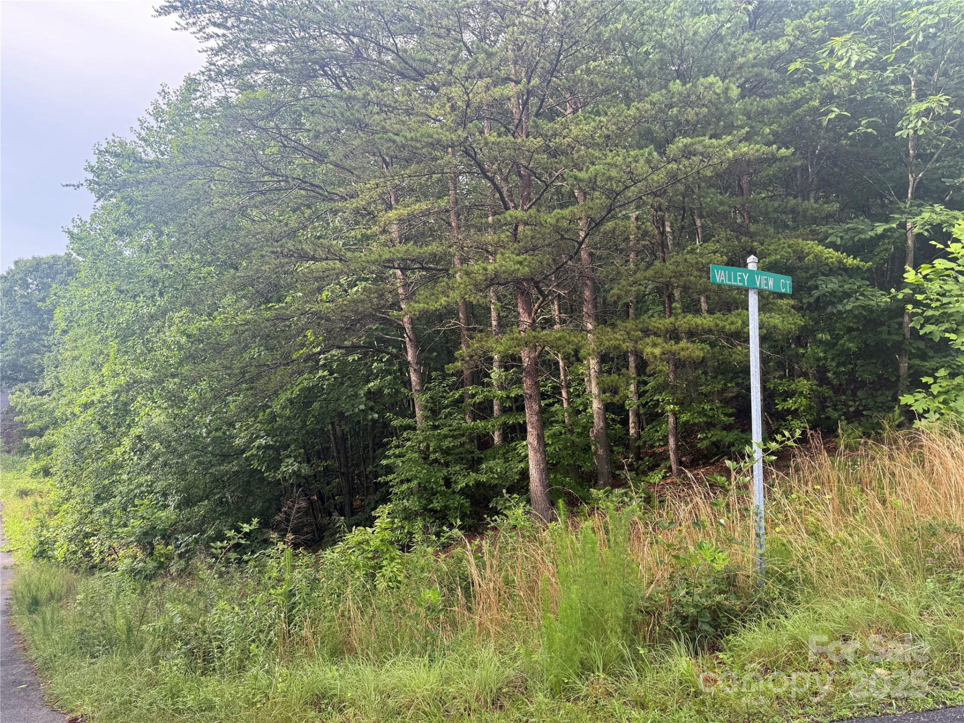 0 Valley View Court - Photo 20