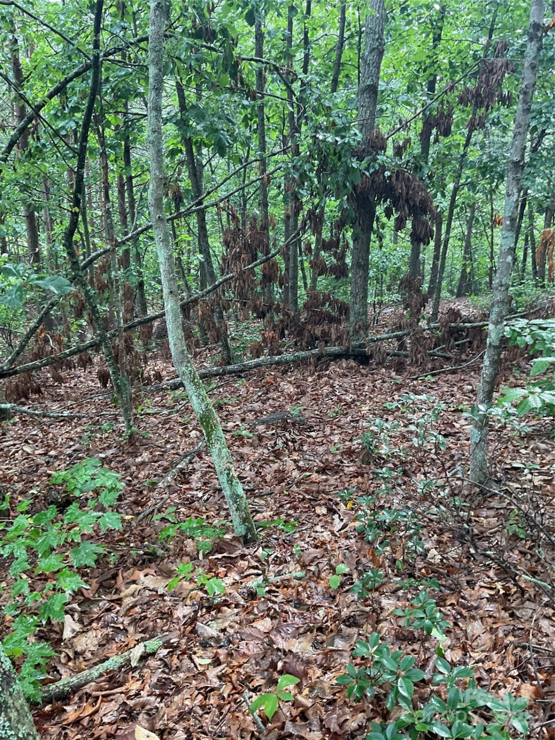 0 Valley View Court - Photo 3