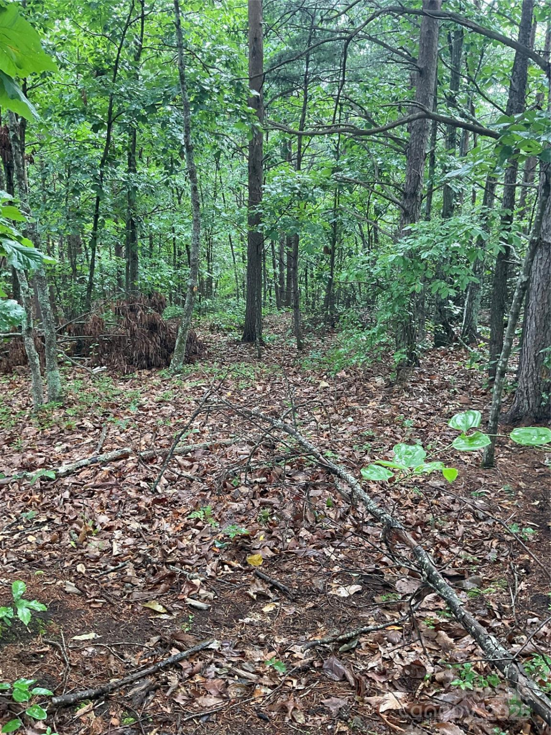 0 Valley View Court - Photo 4