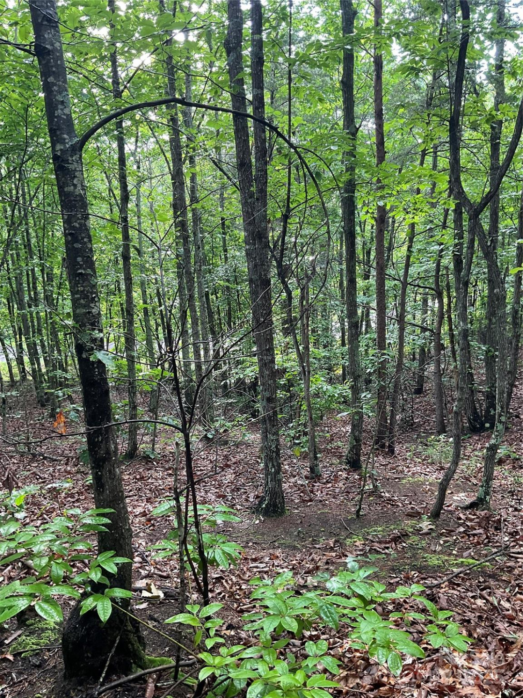 0 Valley View Court - Photo 31