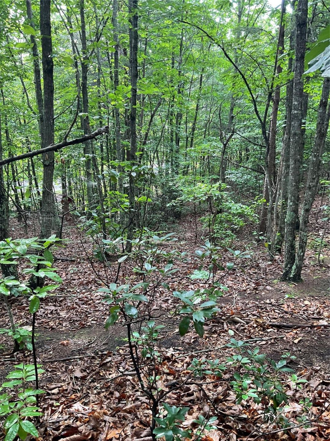 0 Valley View Court - Photo 32