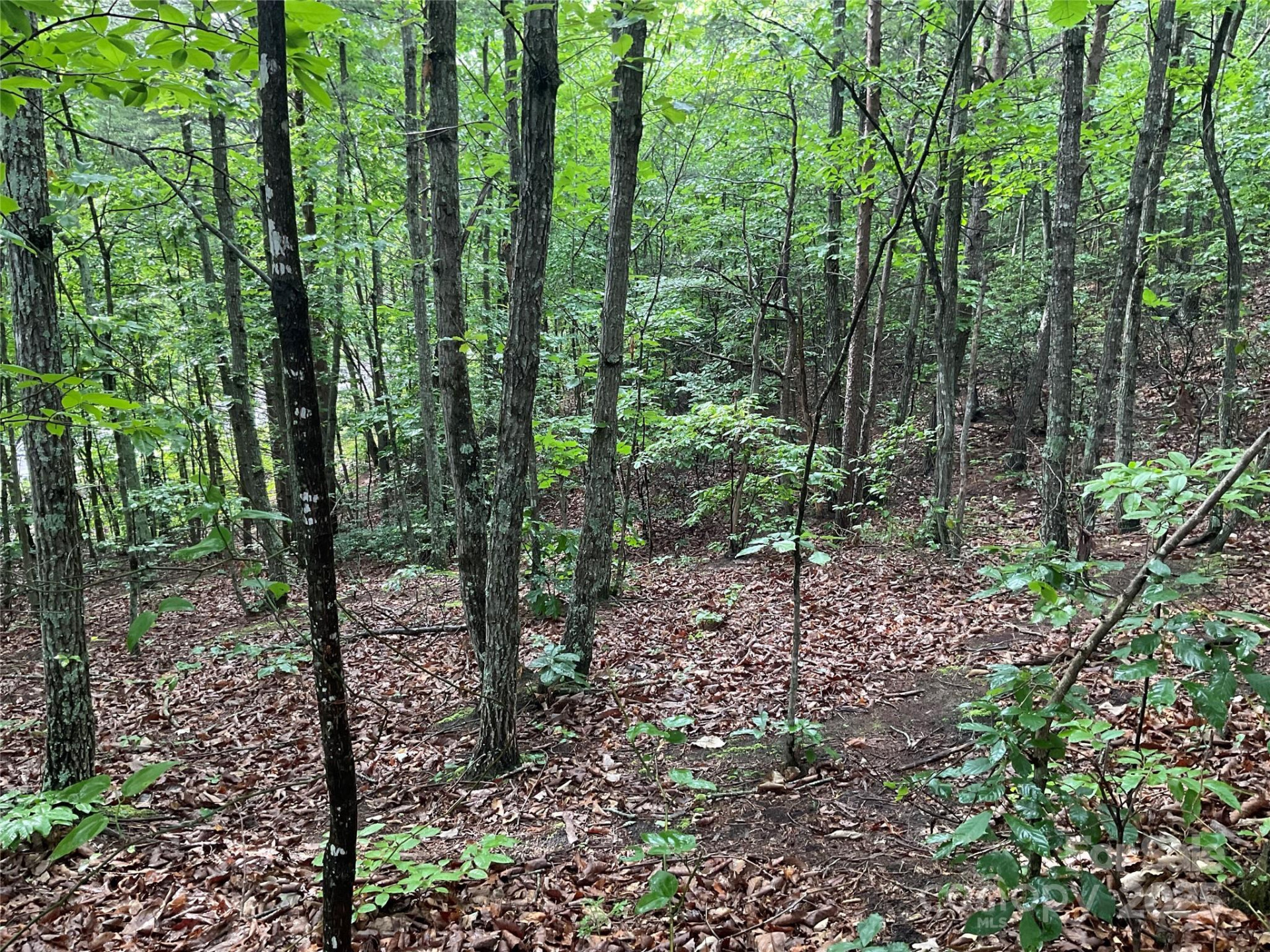 0 Valley View Court - Photo 35