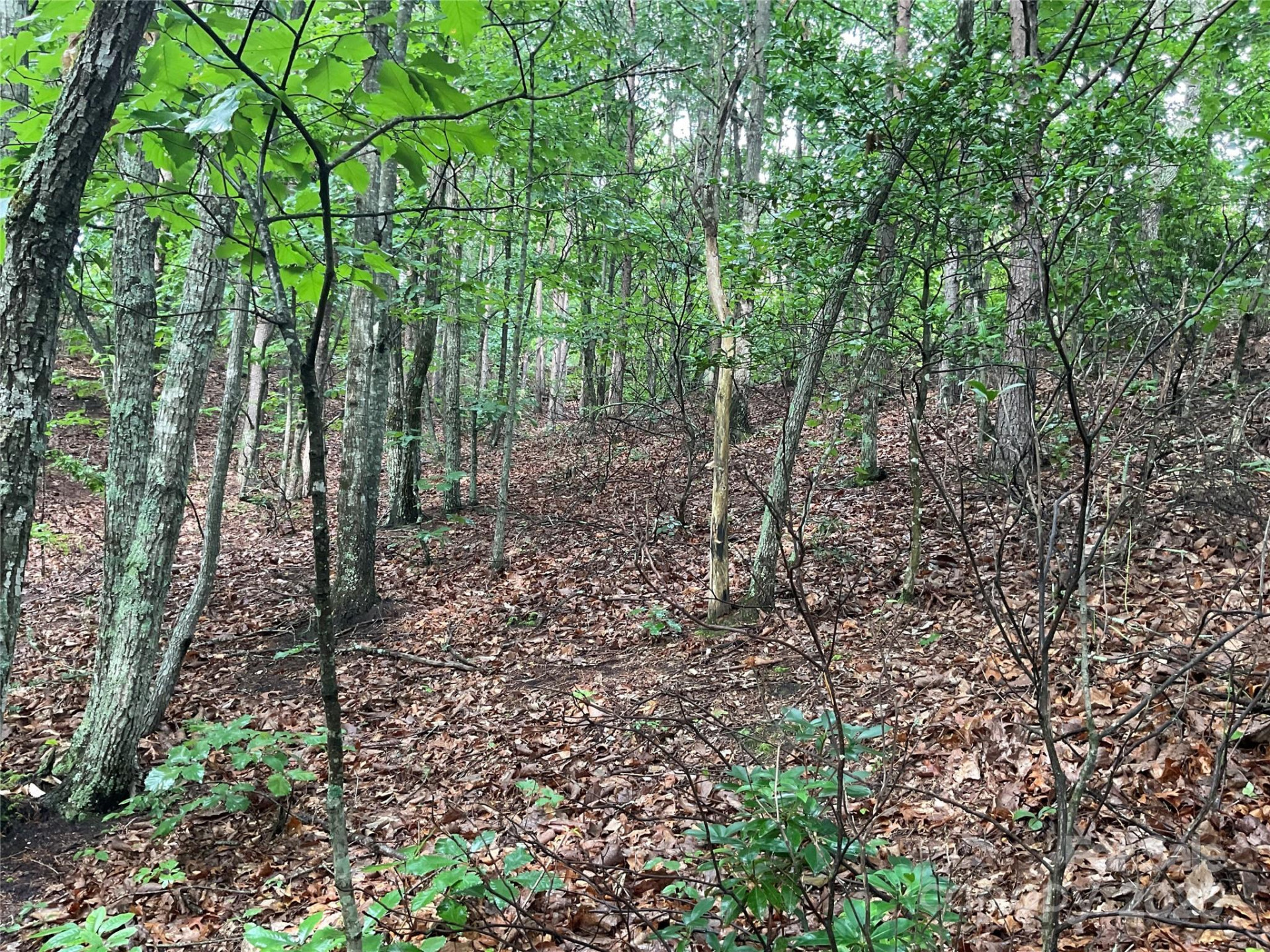 0 Valley View Court - Photo 36