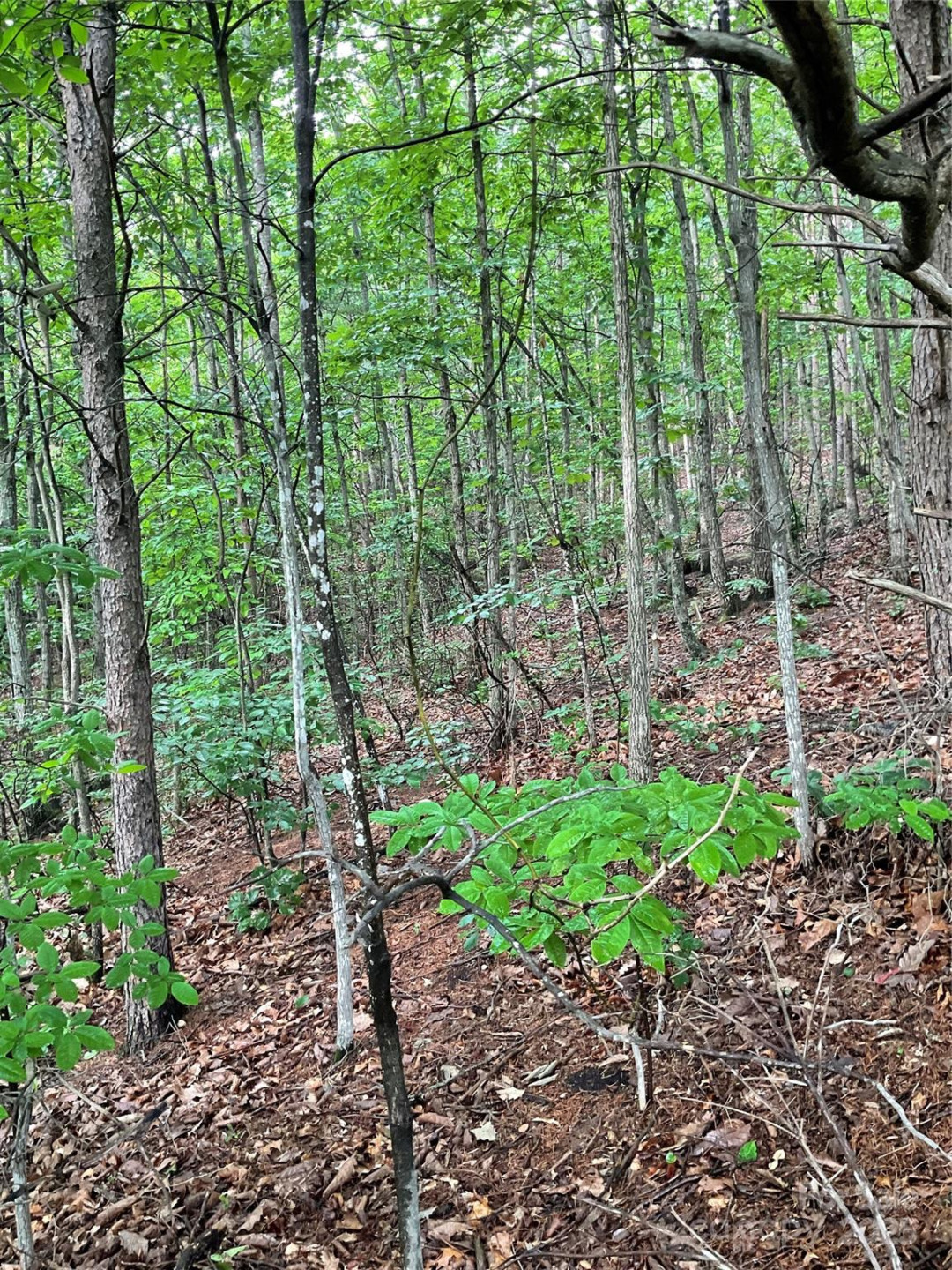 0 Valley View Court - Photo 39