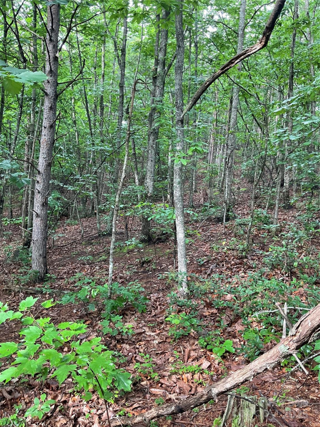 0 Valley View Court - Photo 40