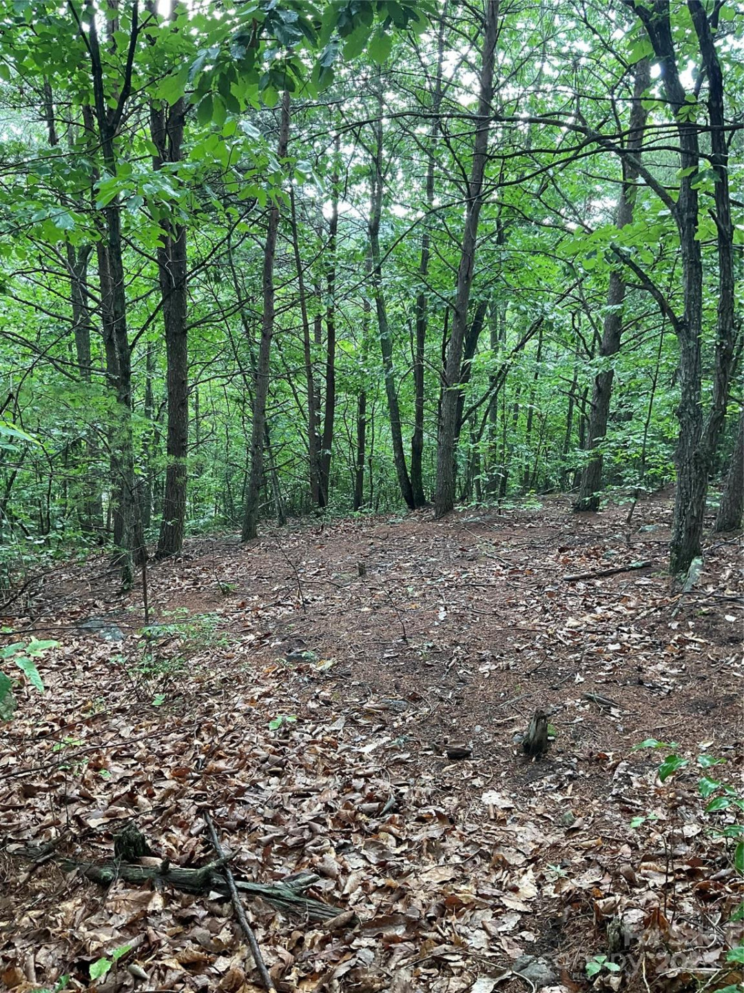 0 Valley View Court - Photo 5