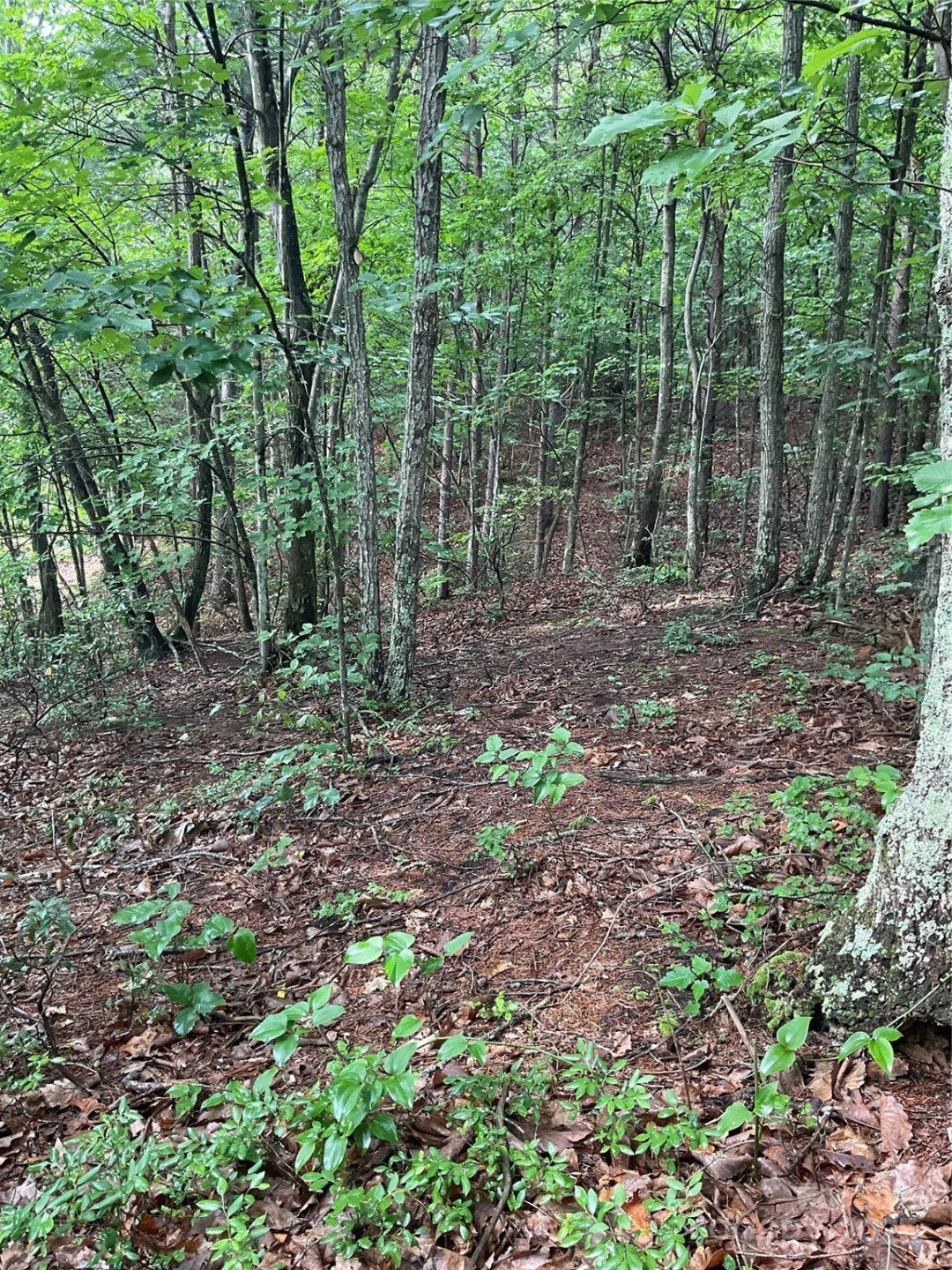 0 Valley View Court - Photo 41