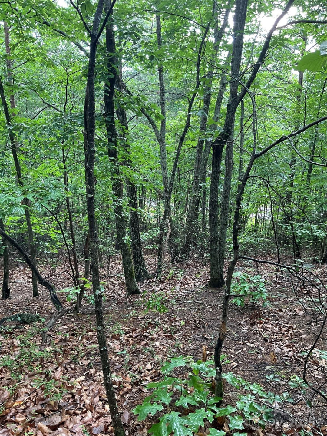 0 Valley View Court - Photo 9