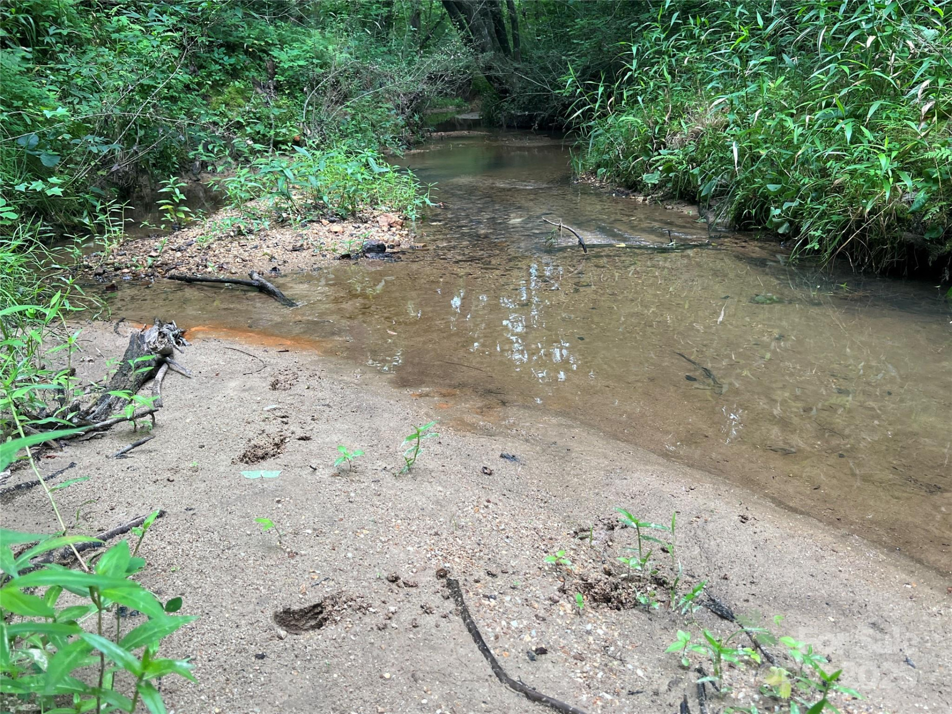 0 Browning View Road - Photo 13