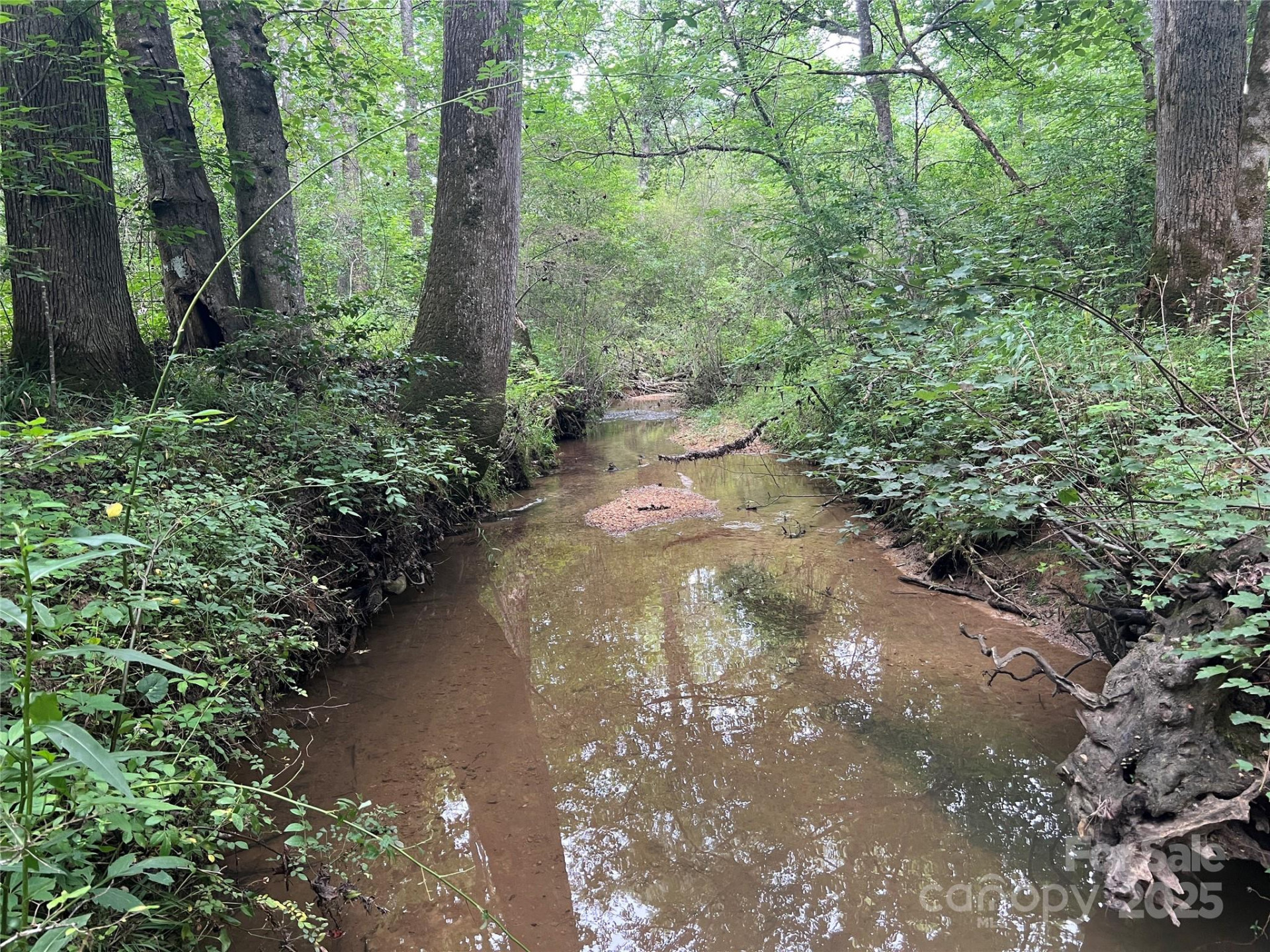 0 Browning View Road - Photo 15