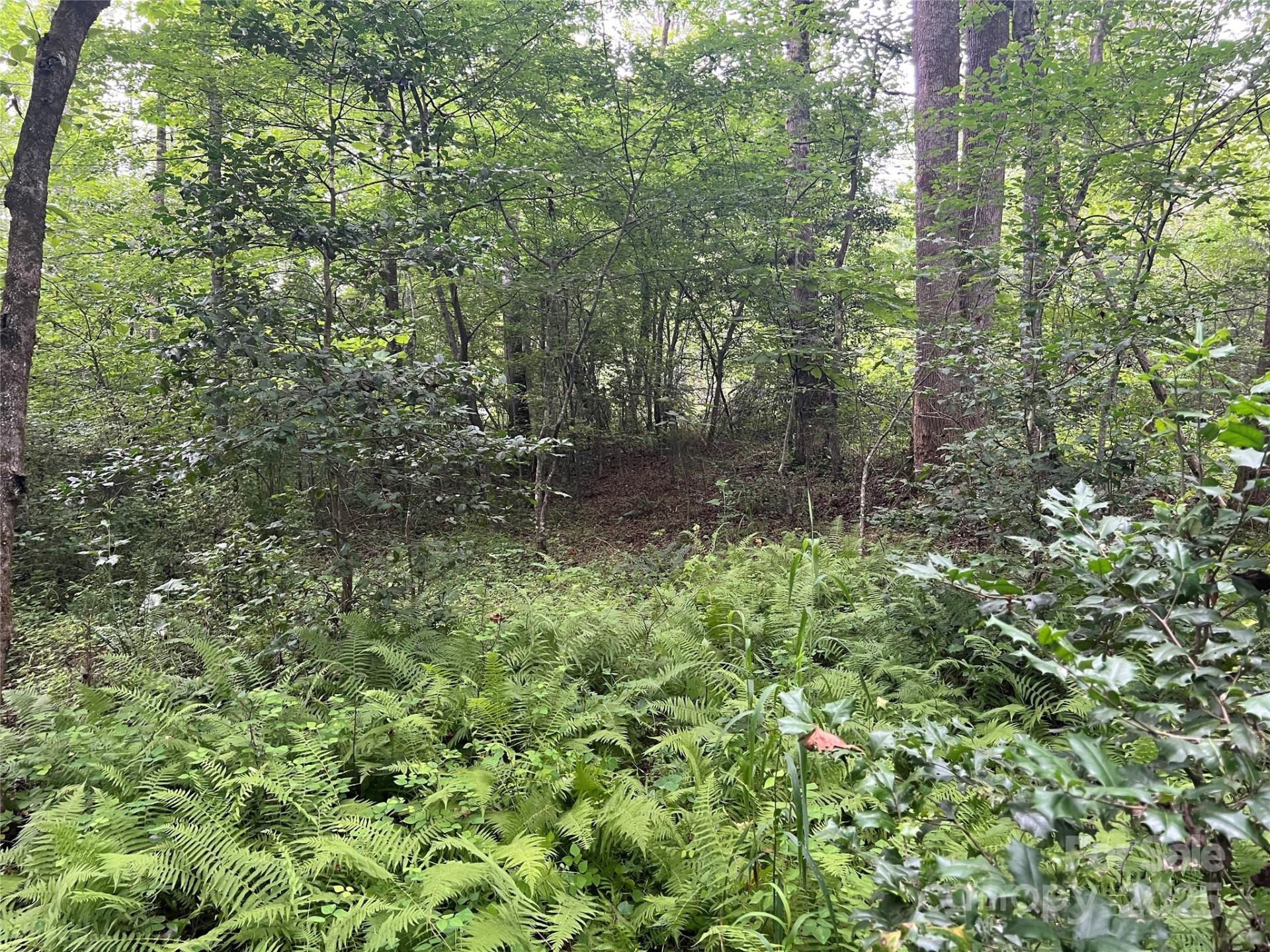 0 Browning View Road - Photo 16