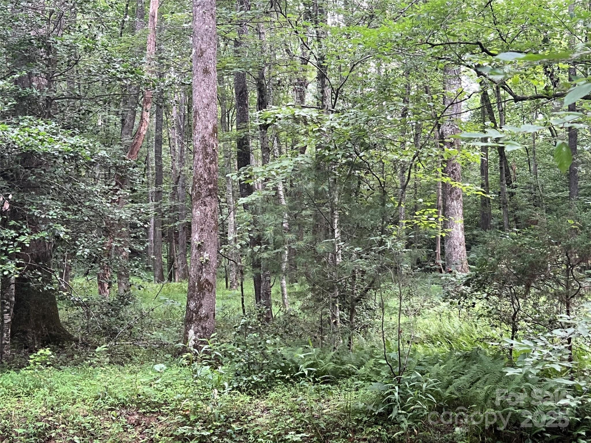 0 Browning View Road - Photo 17