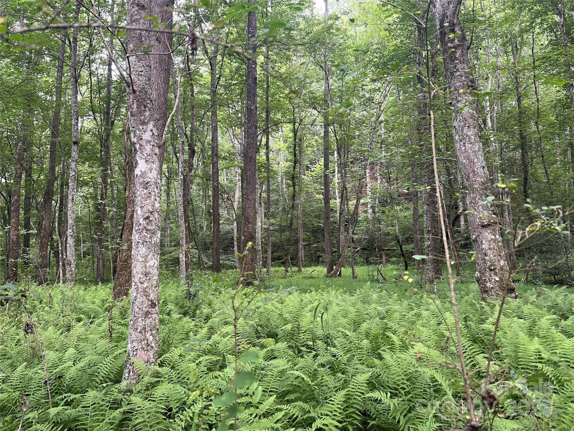 0 Browning View Road - Photo 21