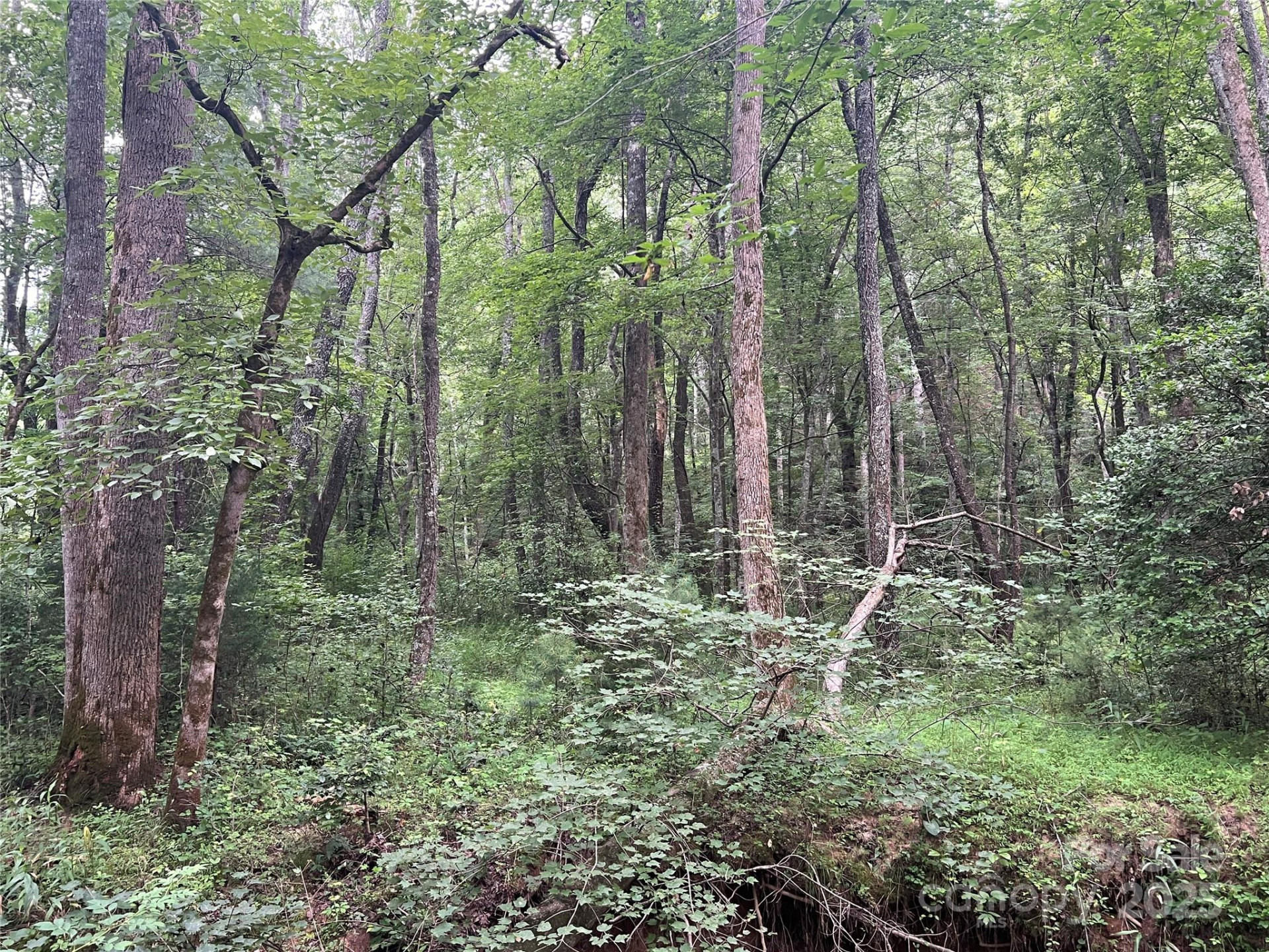 0 Browning View Road - Photo 23