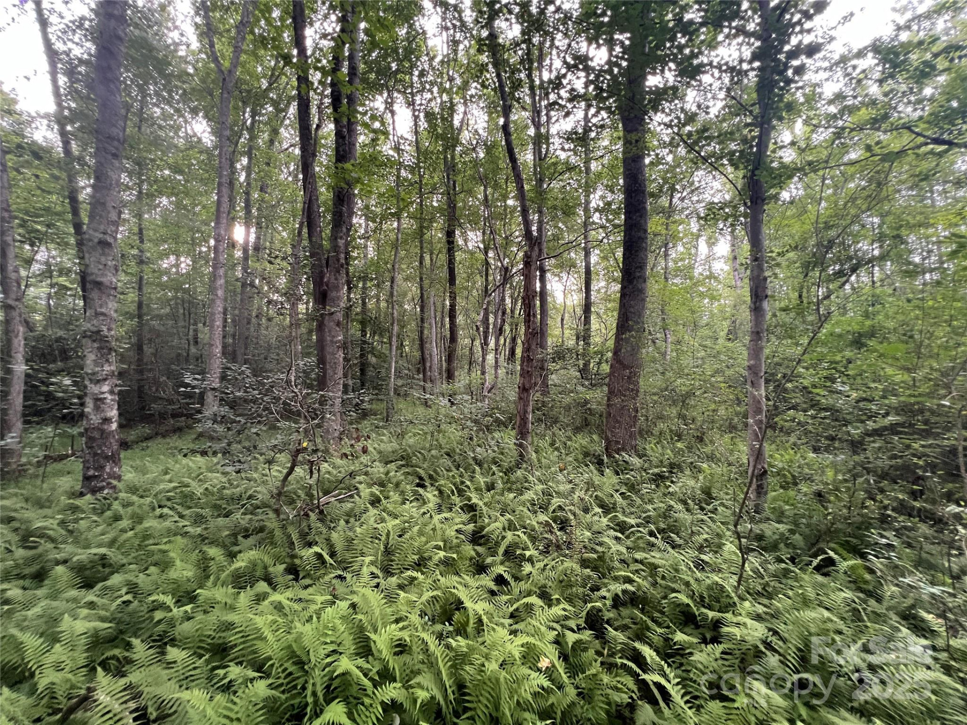 0 Browning View Road - Photo 24