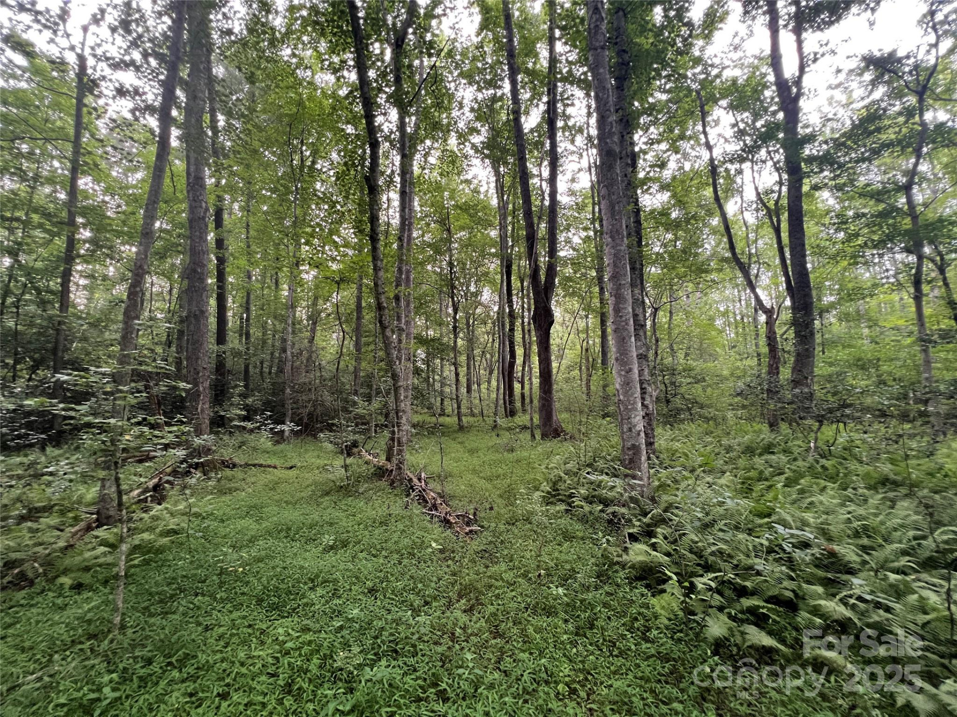 0 Browning View Road - Photo 25