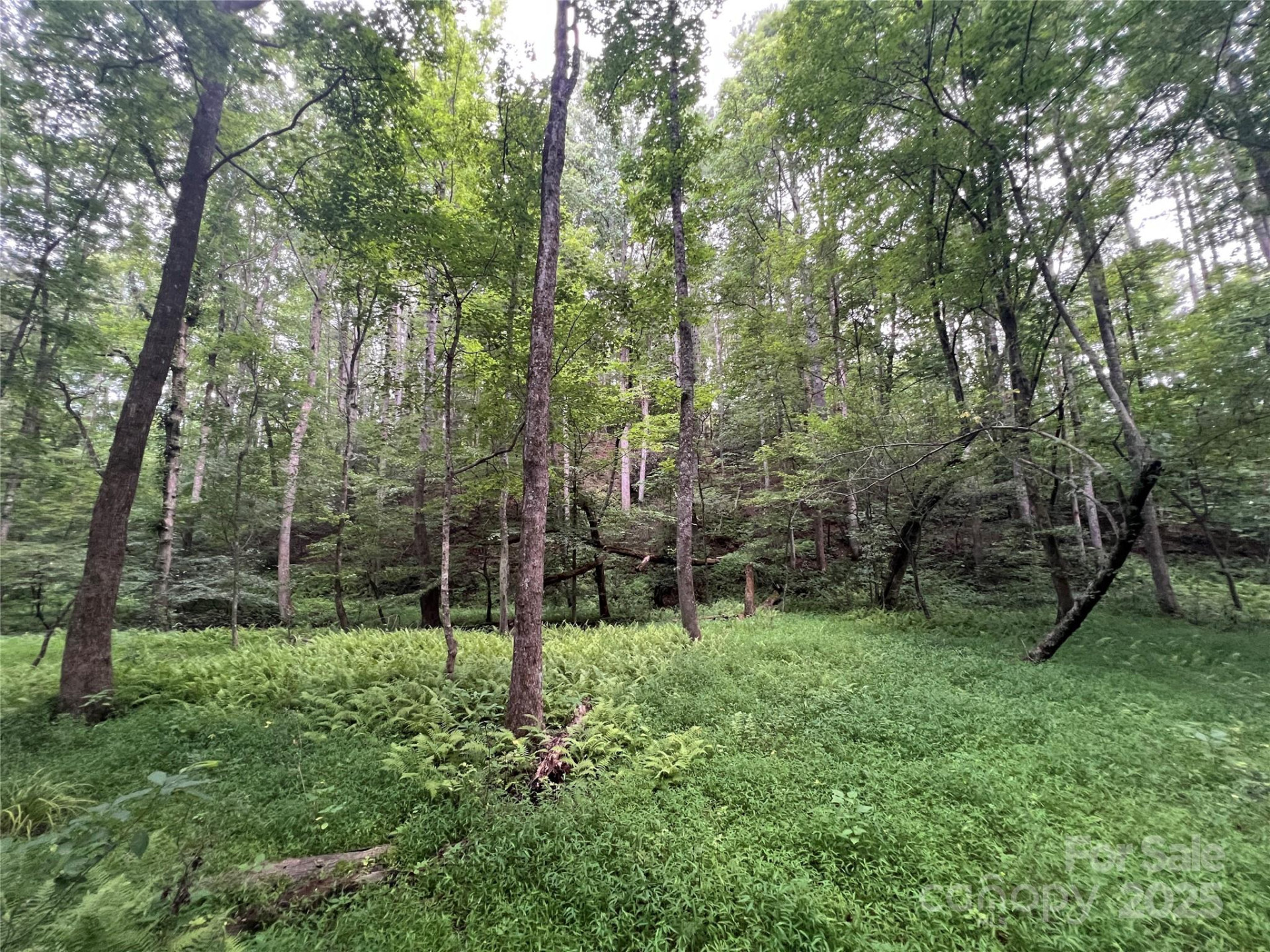 0 Browning View Road - Photo 26