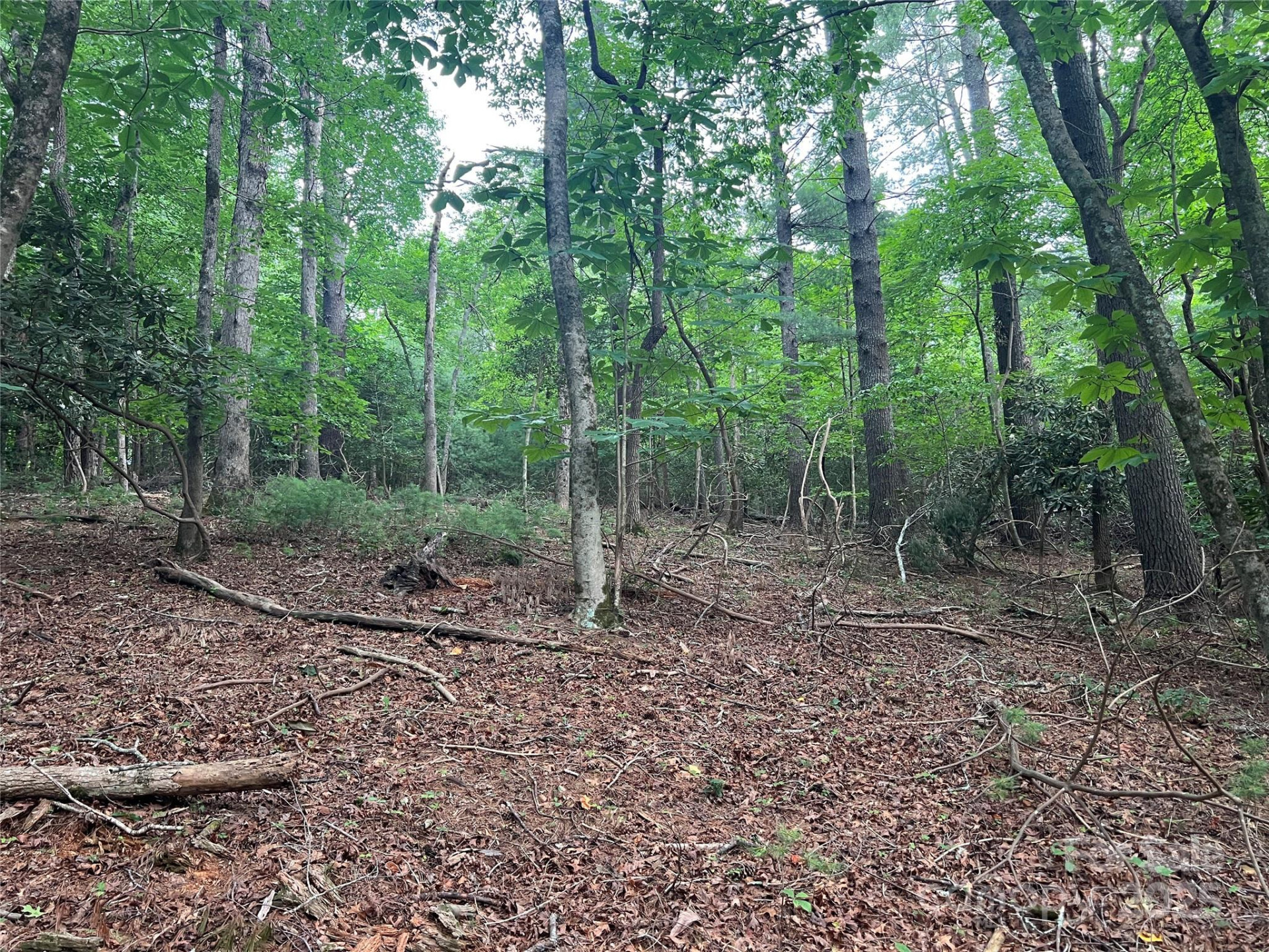 0 Browning View Road - Photo 27
