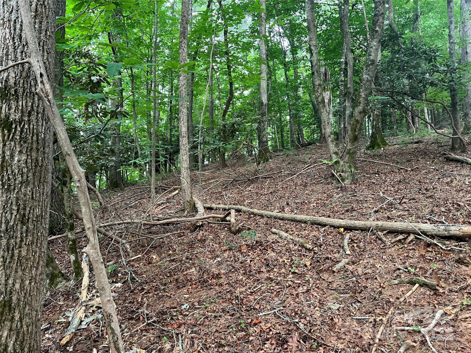 0 Browning View Road - Photo 28